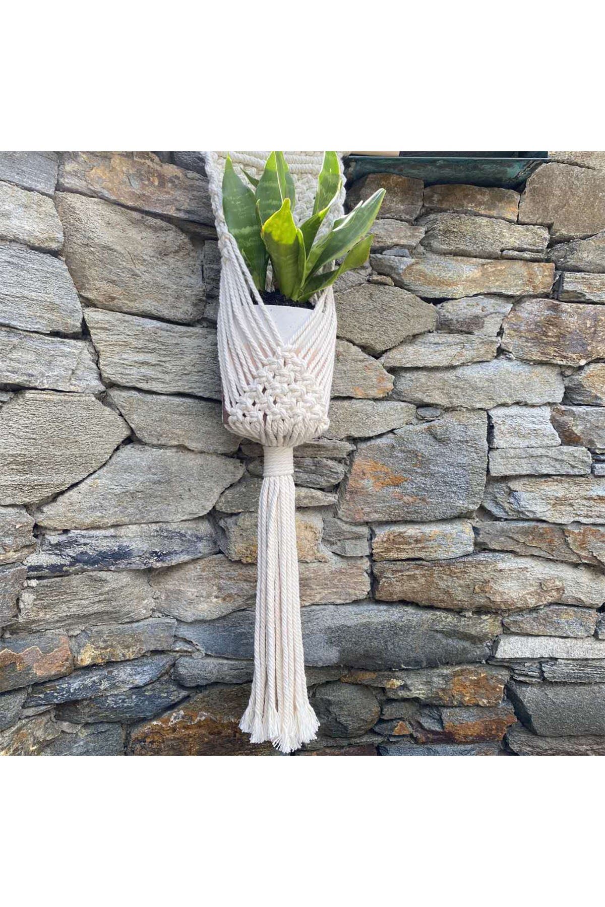 FLORA BUNDA 33