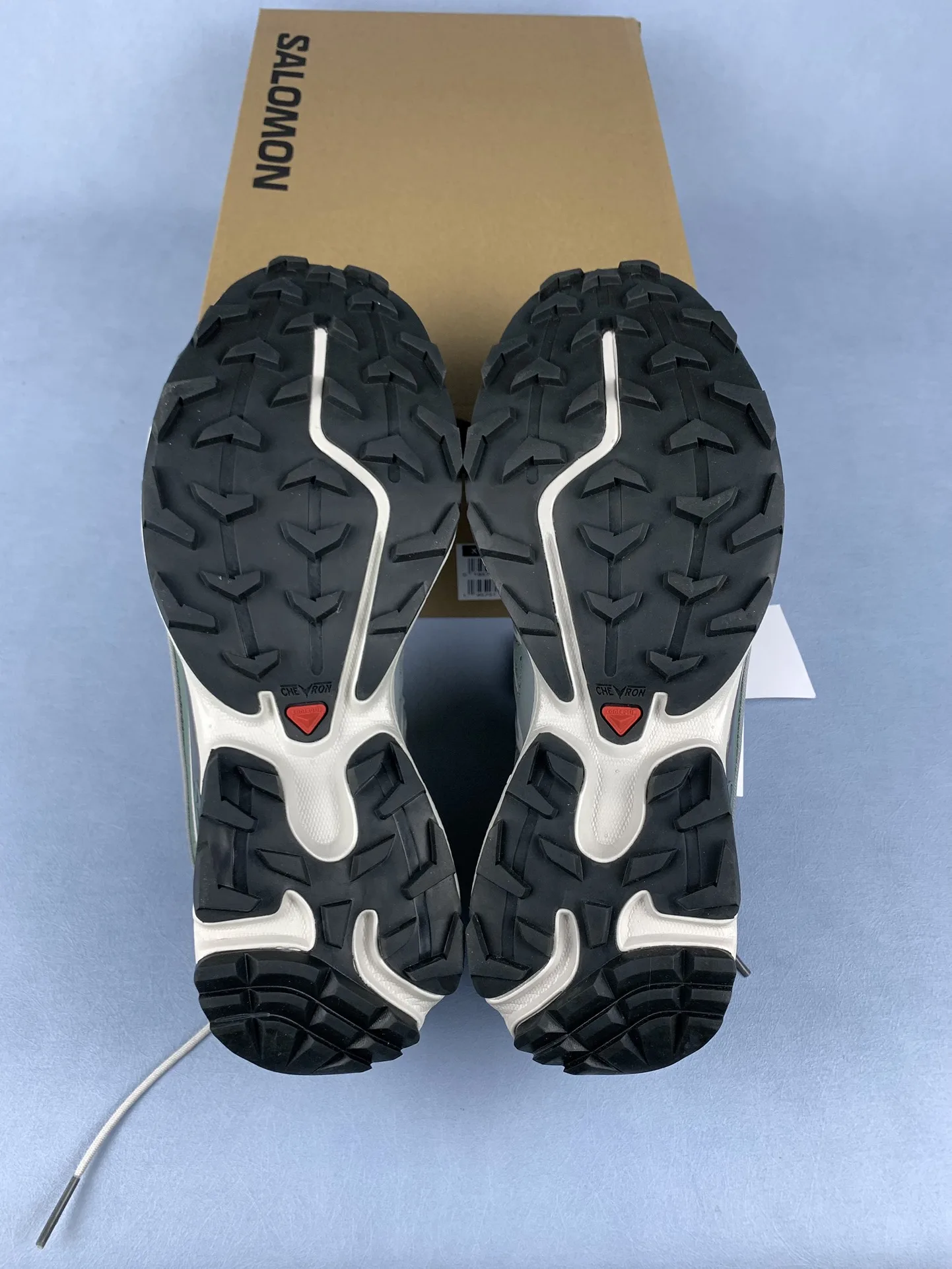 Salomon XT-6 Expanse “Lily Pad Laurel Wreath” Shoes product photo from LabelPicks