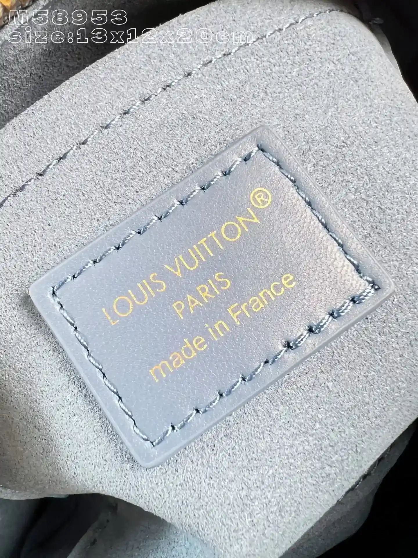 Louis Vuitton Speedy Grained Leather Top Handle Bag product photo from LabelPicks