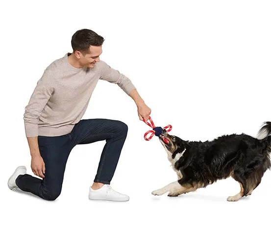 Hunde-Spielzeug, Tau