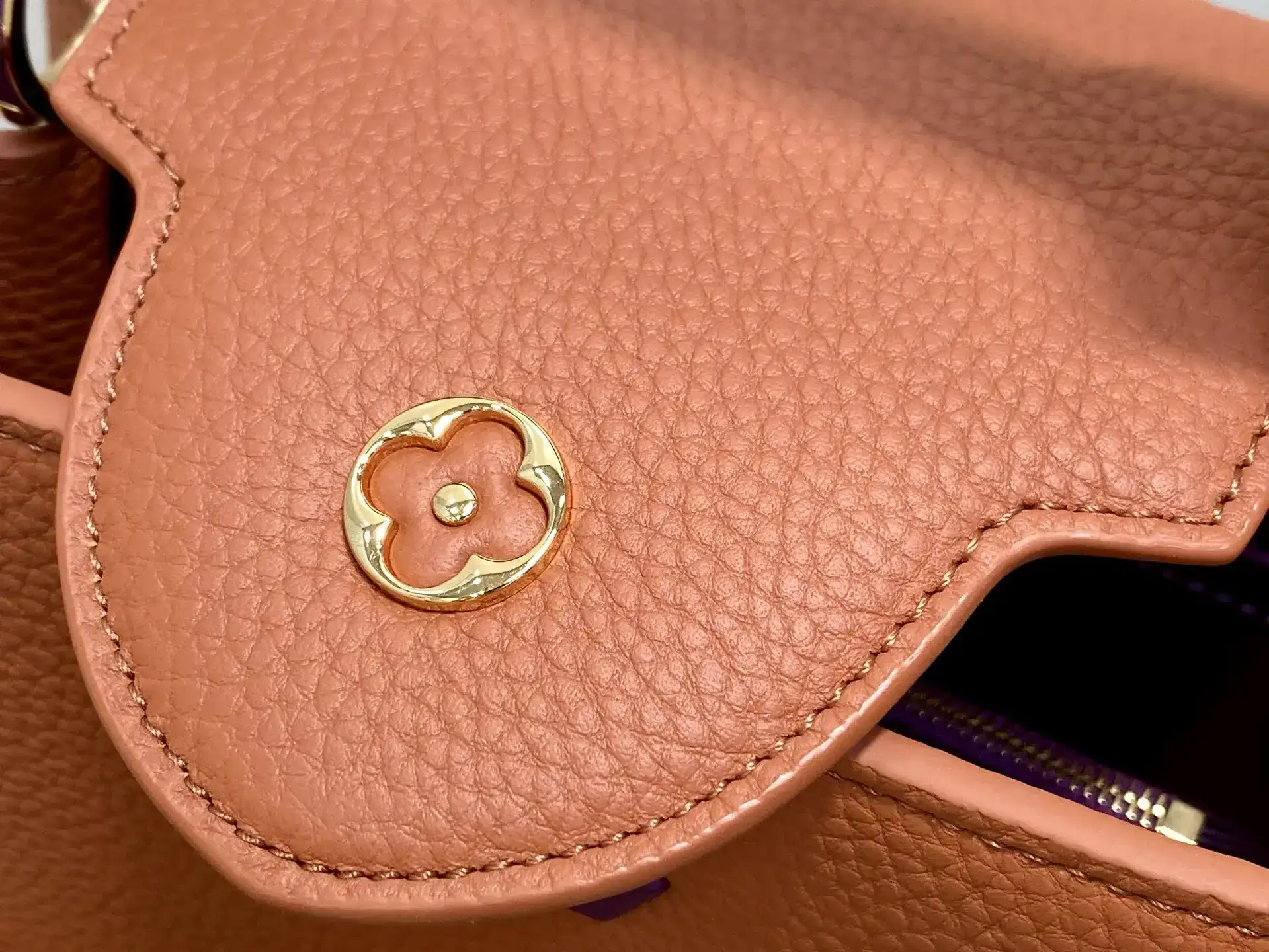 Louis Vuitton Brown Capucines Top Handle Bag product photo from LabelPicks