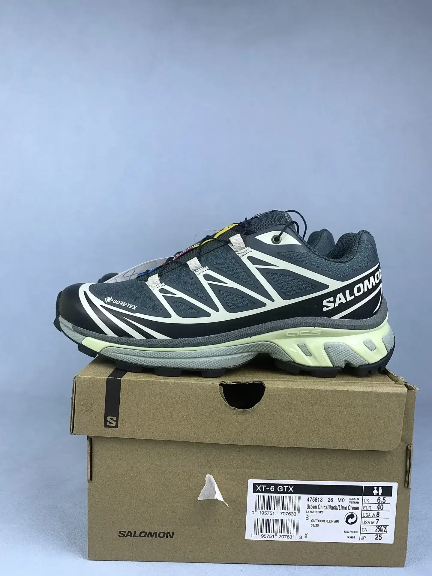 Salomon XT-6 GORE-TEX “Urban Chic Lime Cream” Shoes product photo from LabelPicks