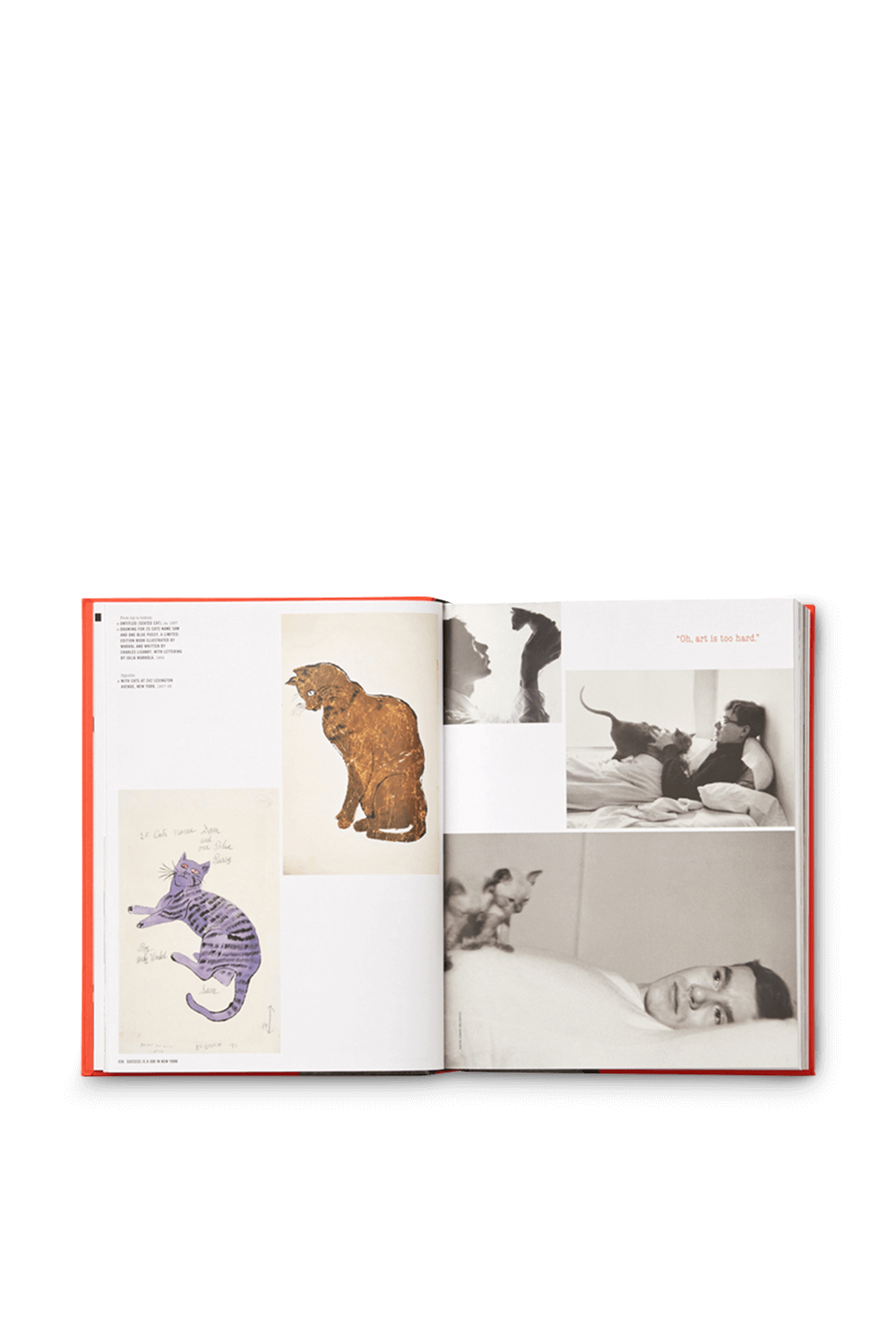 PHAIDON Andy Warhol Giant Size mini format