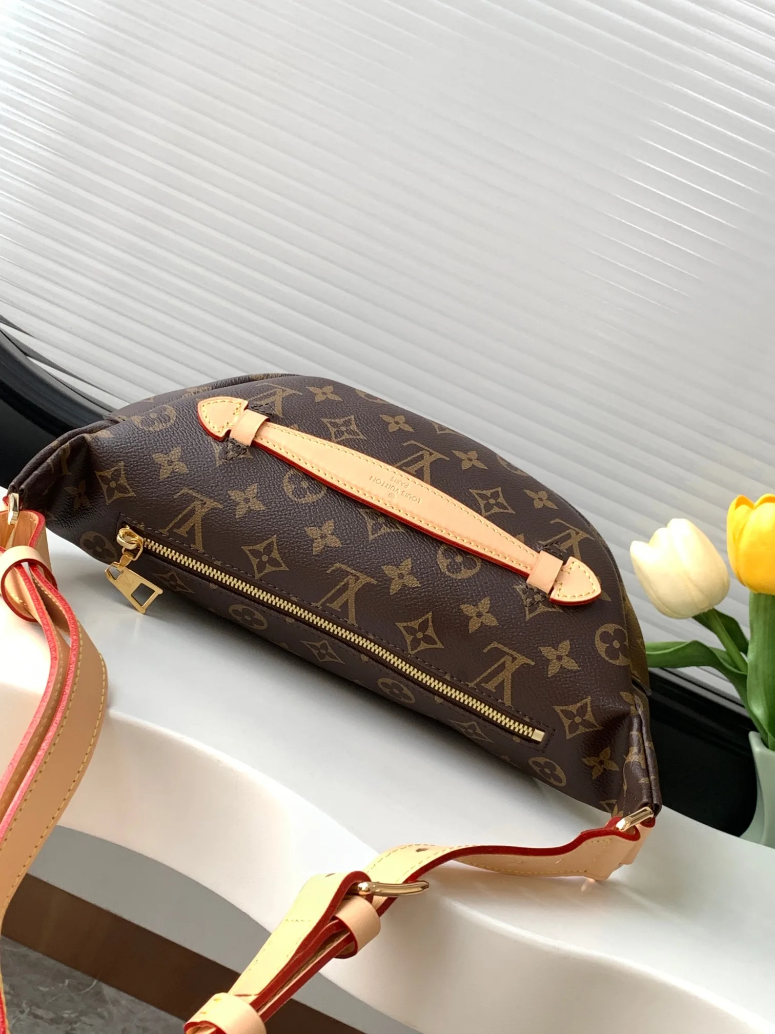 Louis Vuitton Monogram Canvas Belt Bag product photo from LabelPicks