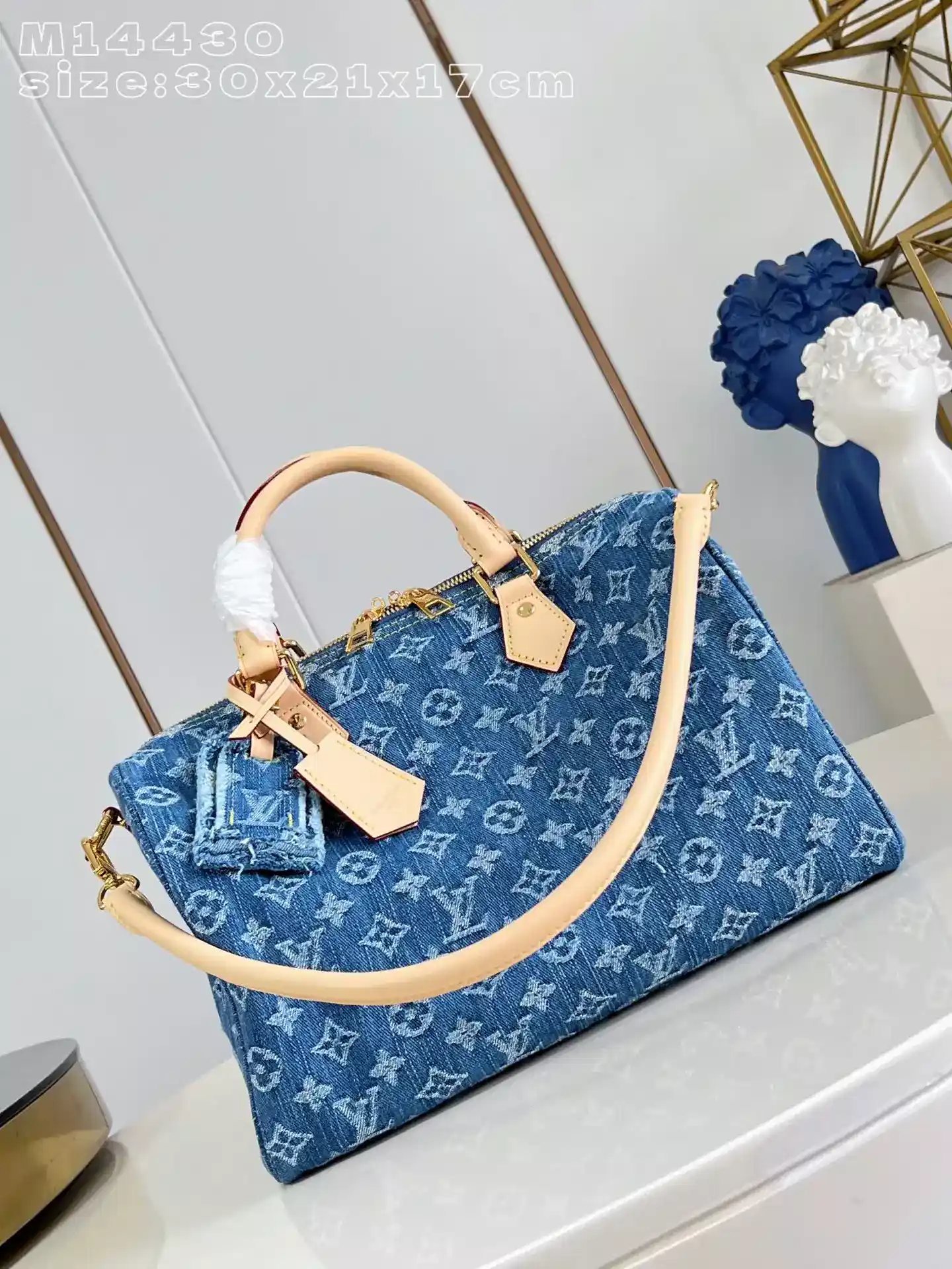 Louis Vuitton Speedy Top Handle Bag product photo from LabelPicks