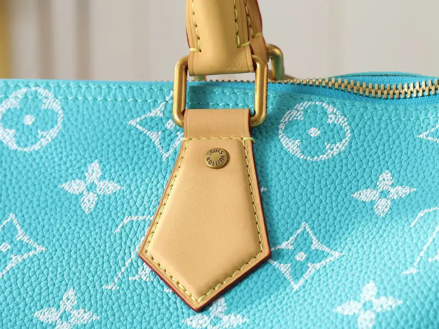 Louis Vuitton Brown Speedy Monogram Canvas Top Handle Bag product photo from LabelPicks