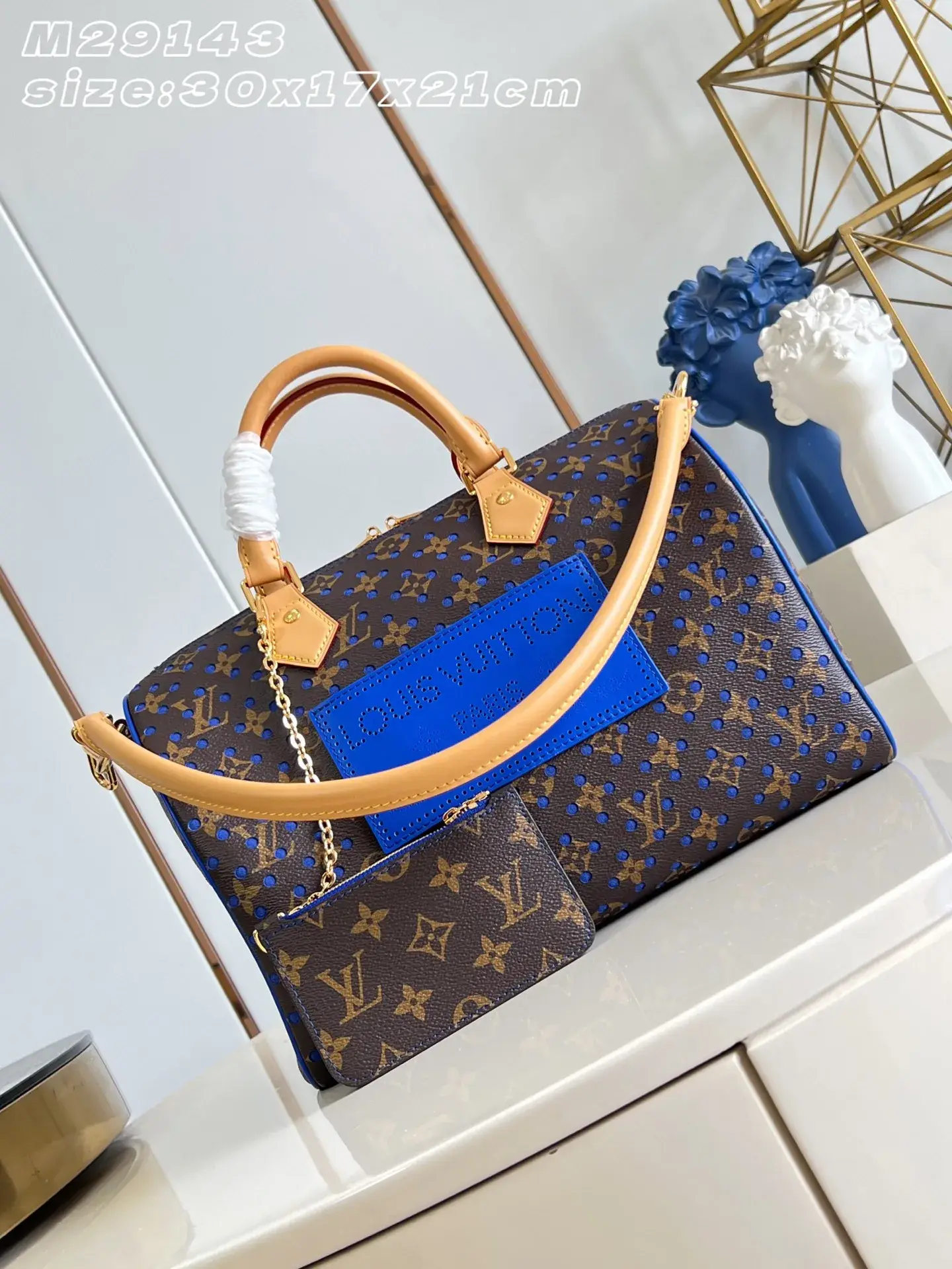 Louis Vuitton Speedy Canvas and Leather Top Handle Bag product photo from LabelPicks