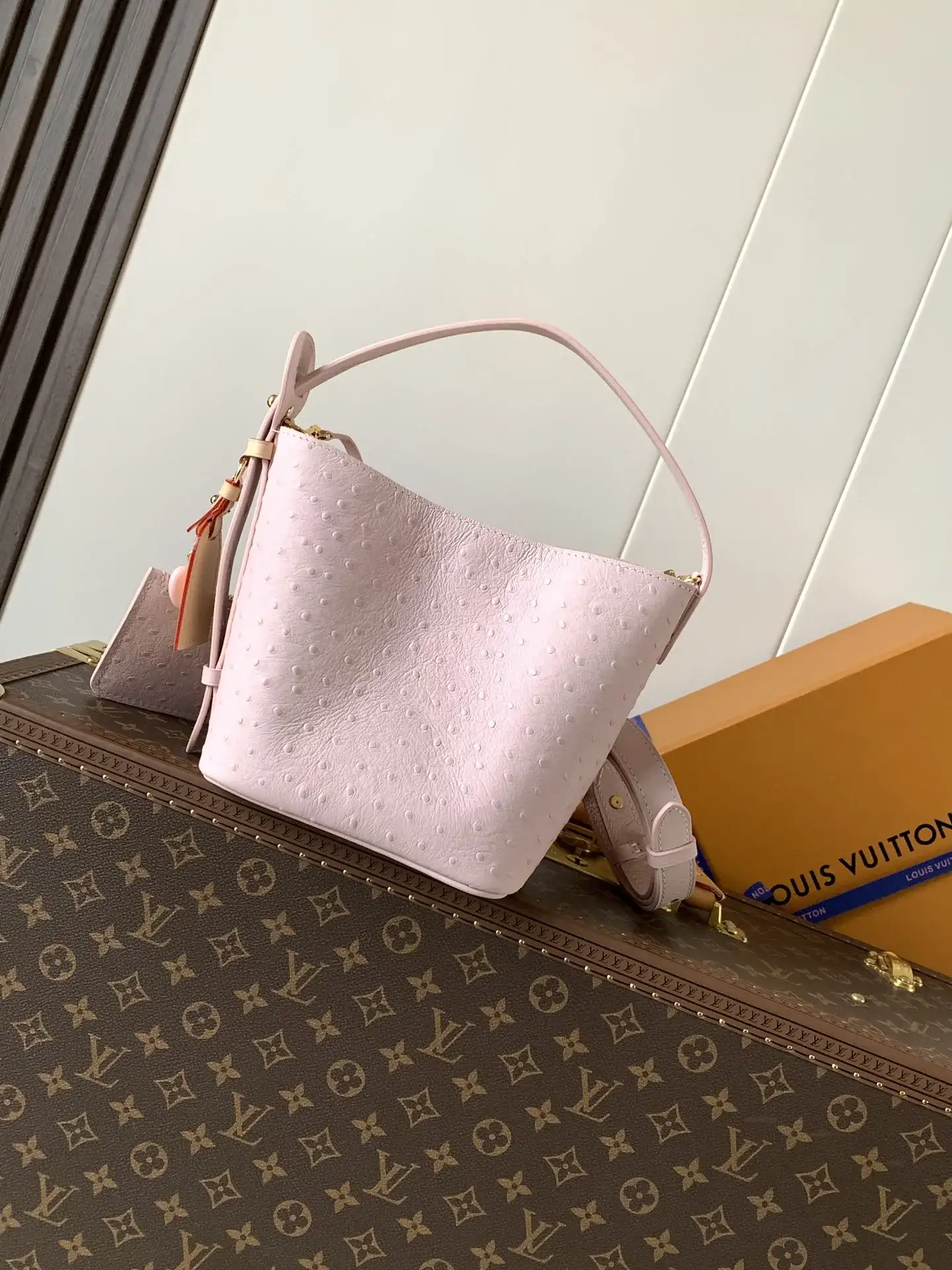 Louis Vuitton Grained Leather Bucket Bag product photo from LabelPicks
