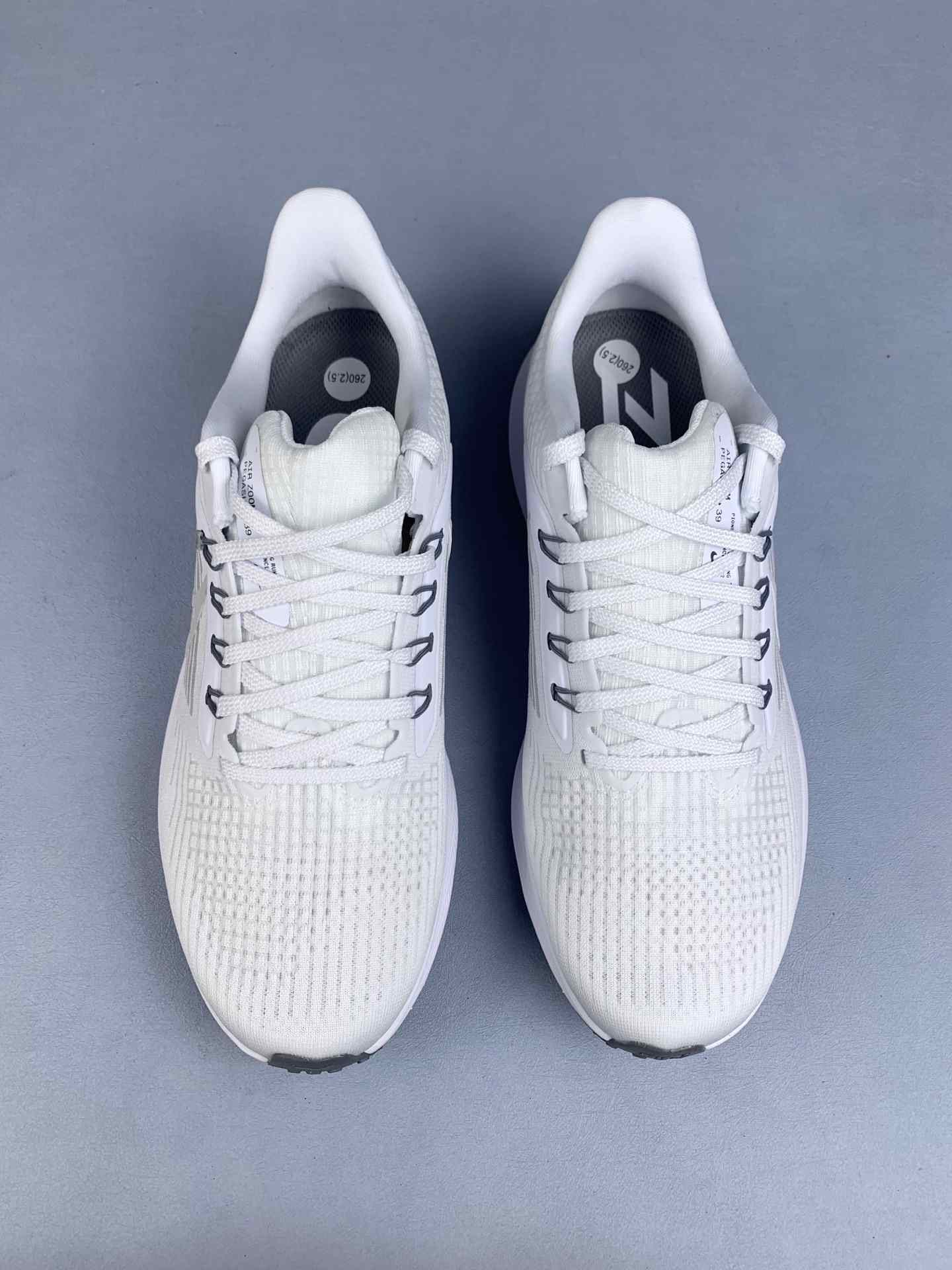 Nike Pegasus 39 Shoes