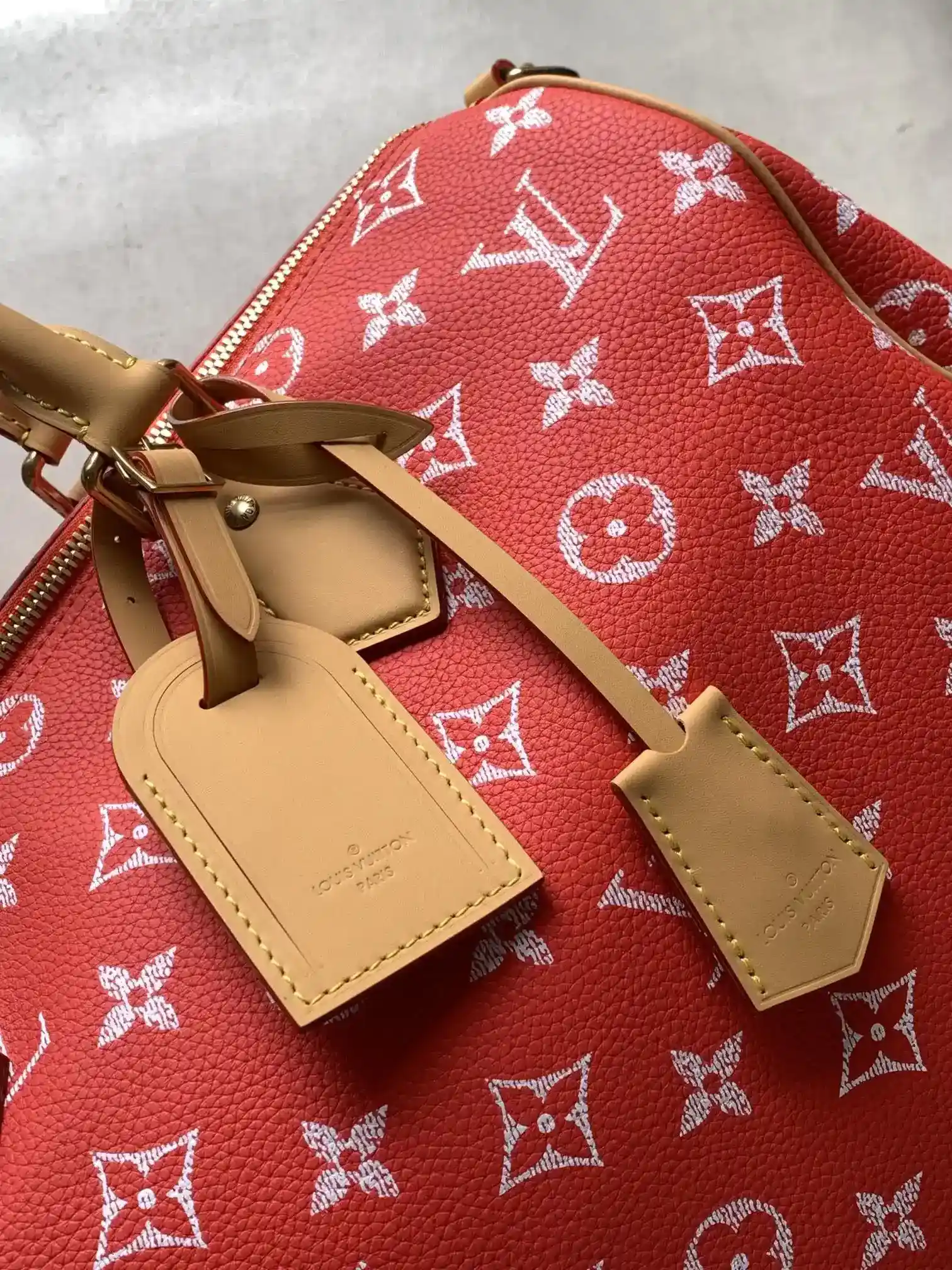 Louis Vuitton Green Speedy Grained Leather Top Handle Bag product photo from LabelPicks