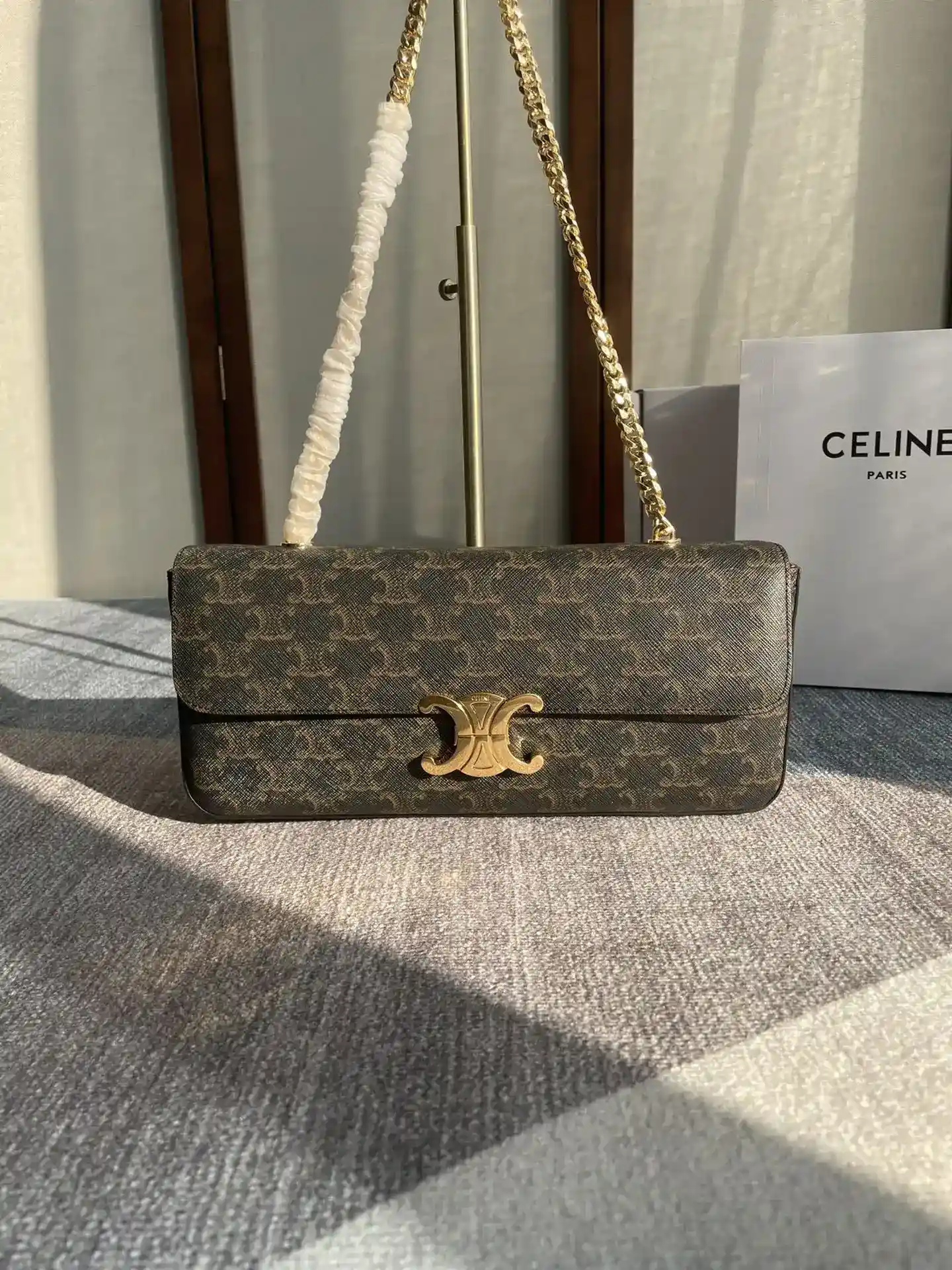 Celine Triomphe Canvas Hobo Bag product photo from LabelPicks
