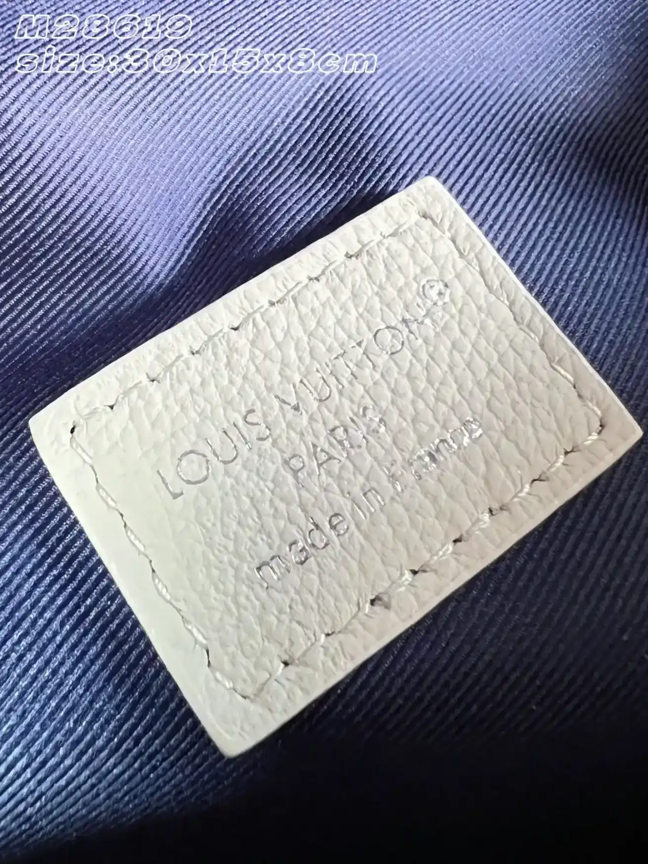 Louis Vuitton Calfskin Belt Bag product photo from LabelPicks