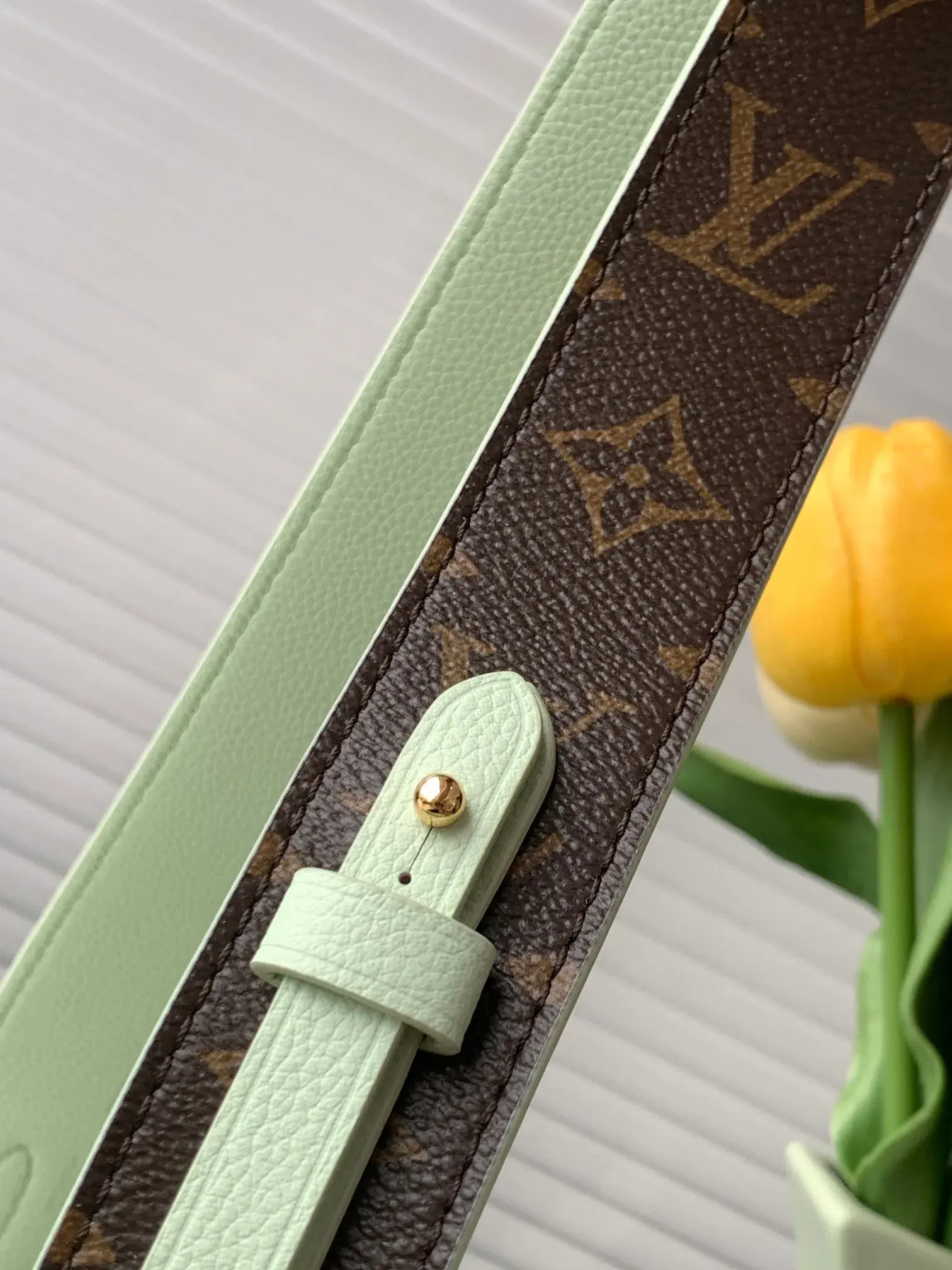 Louis Vuitton Green Speedy Top Handle Bag product photo from LabelPicks