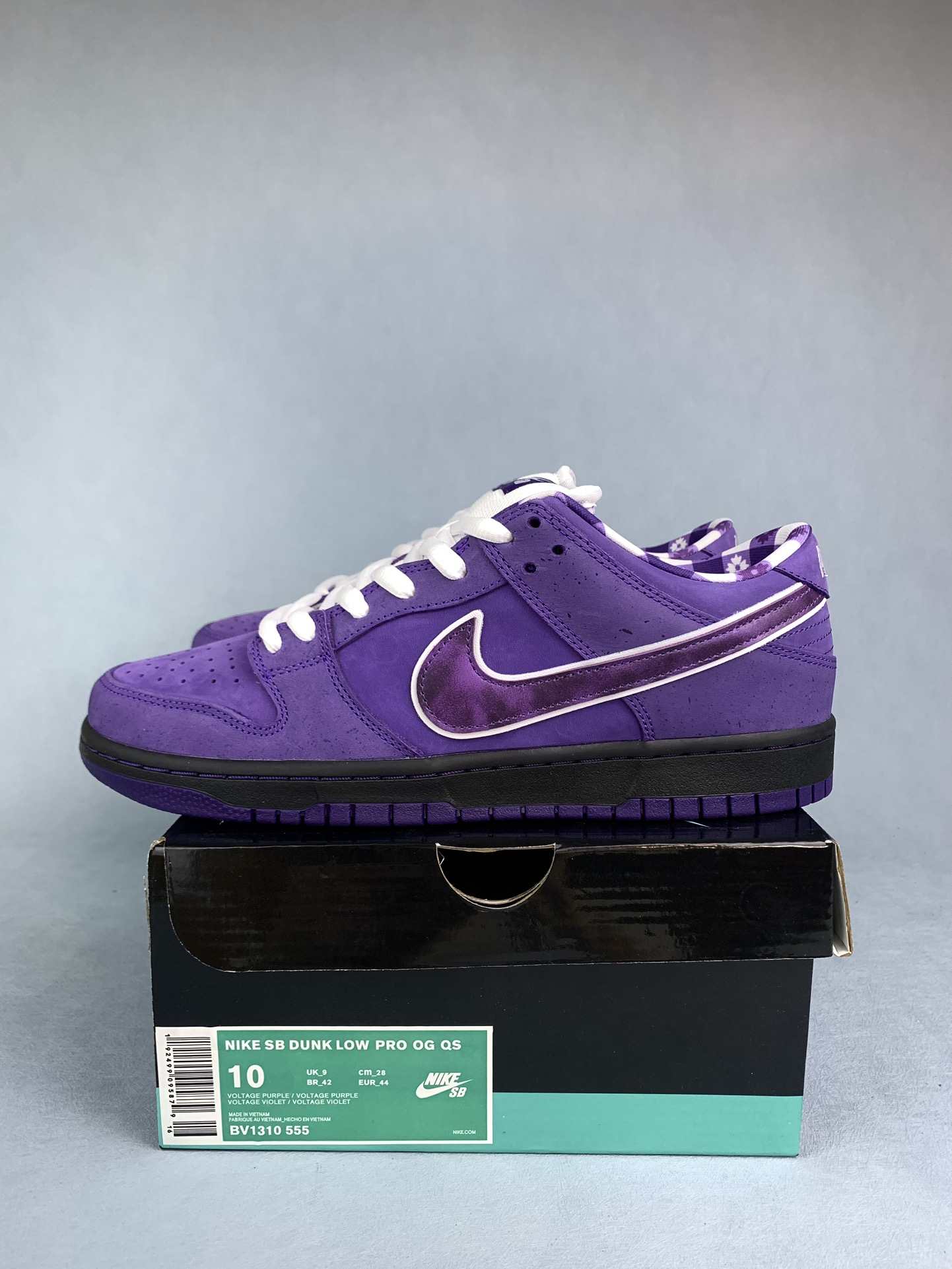 Concepts x Nike SB Dunk Low 'Purple Lobster' Shoes