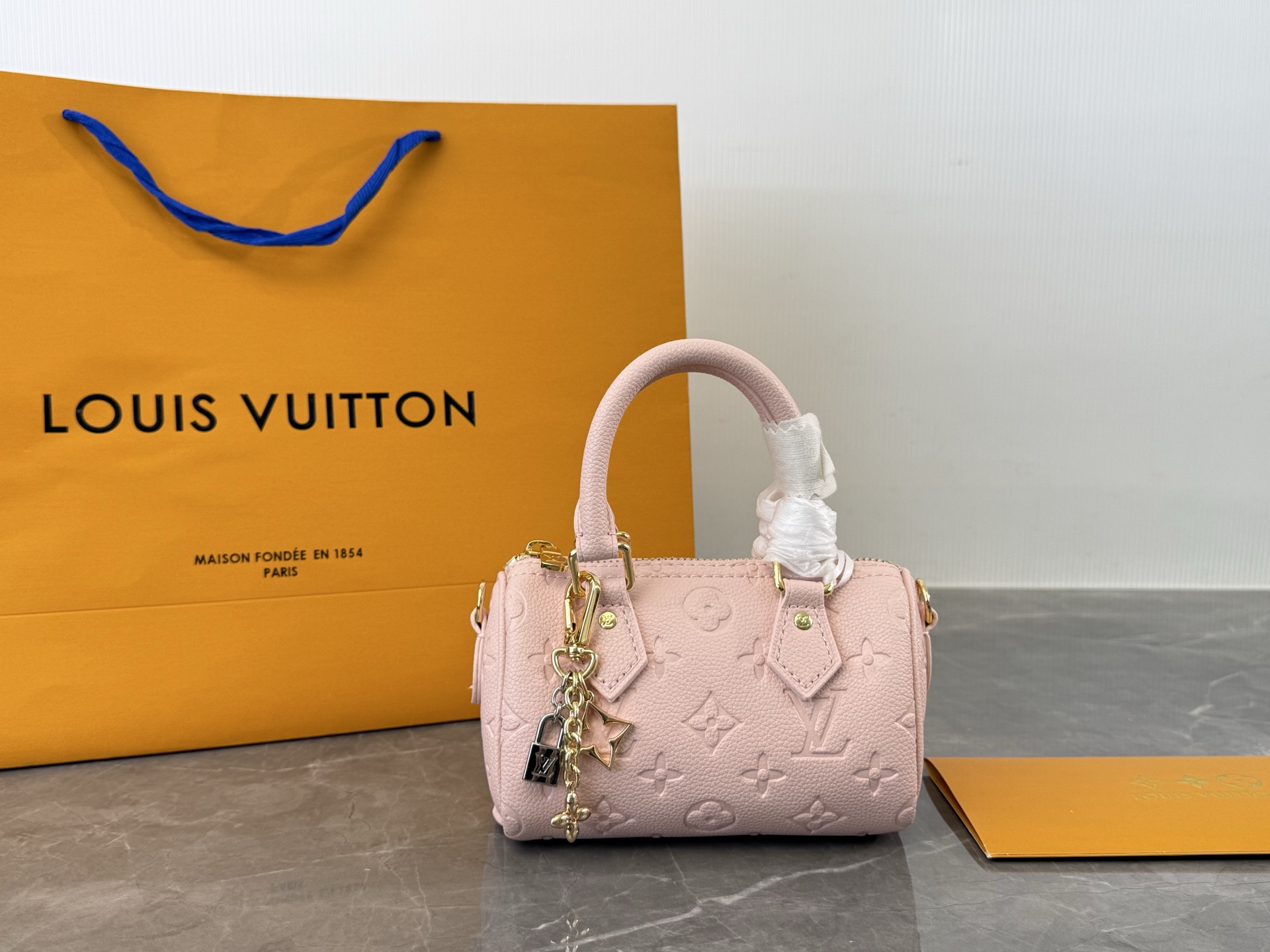 LV Speedy Nano bag
