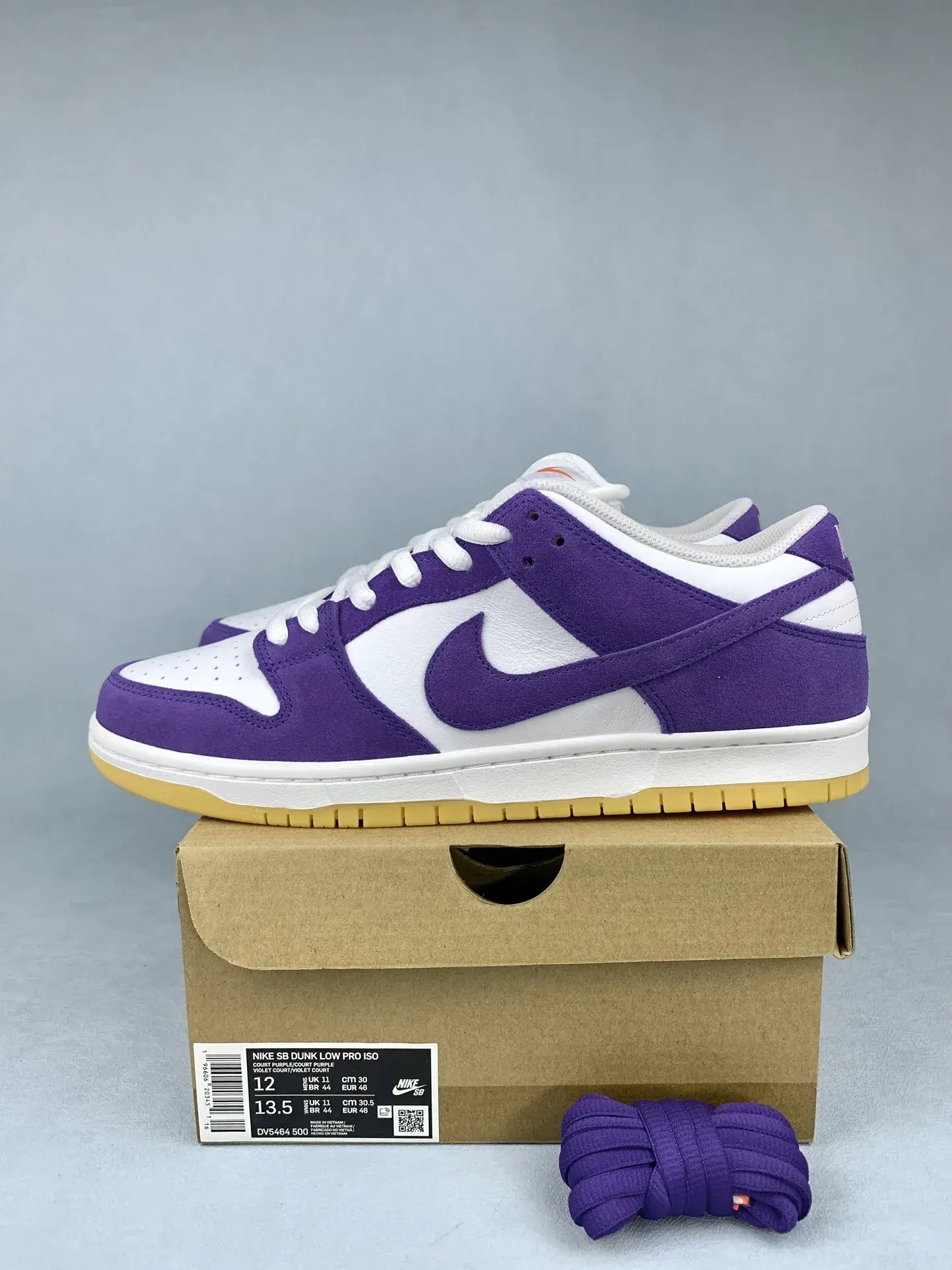 Nike SB Dunk Low Pro Shoes product photo from LabelPicks
