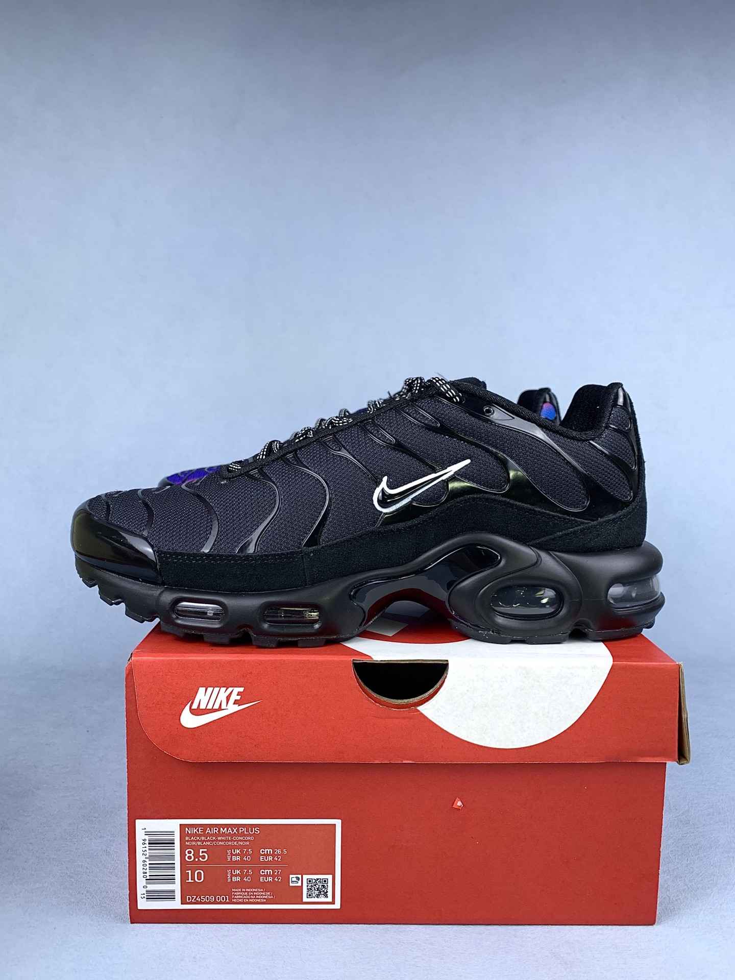 Nike Air Max Plus 'Unity' Shoes