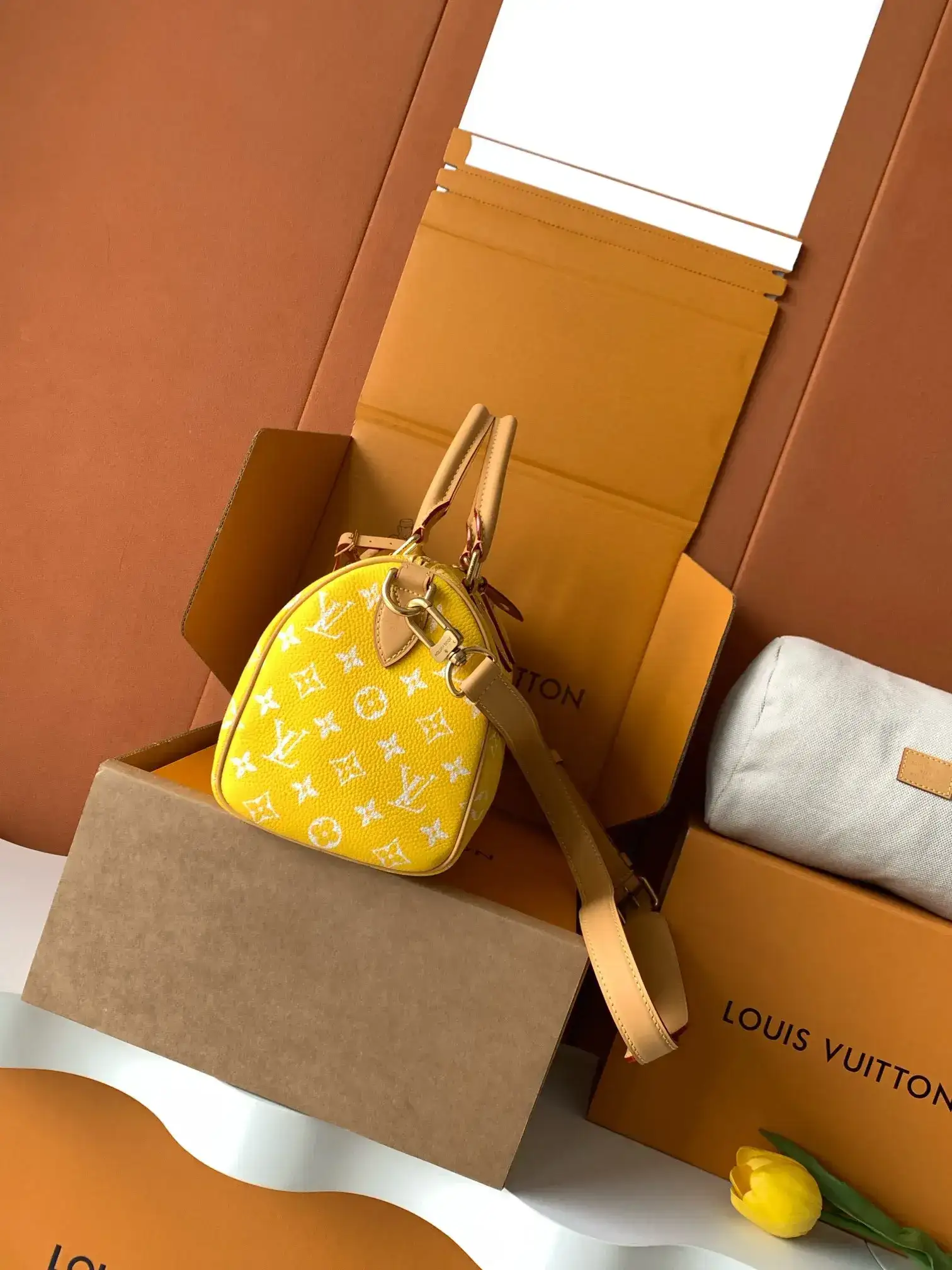 Louis Vuitton Yellow Calfskin Top Handle Bag product photo from LabelPicks
