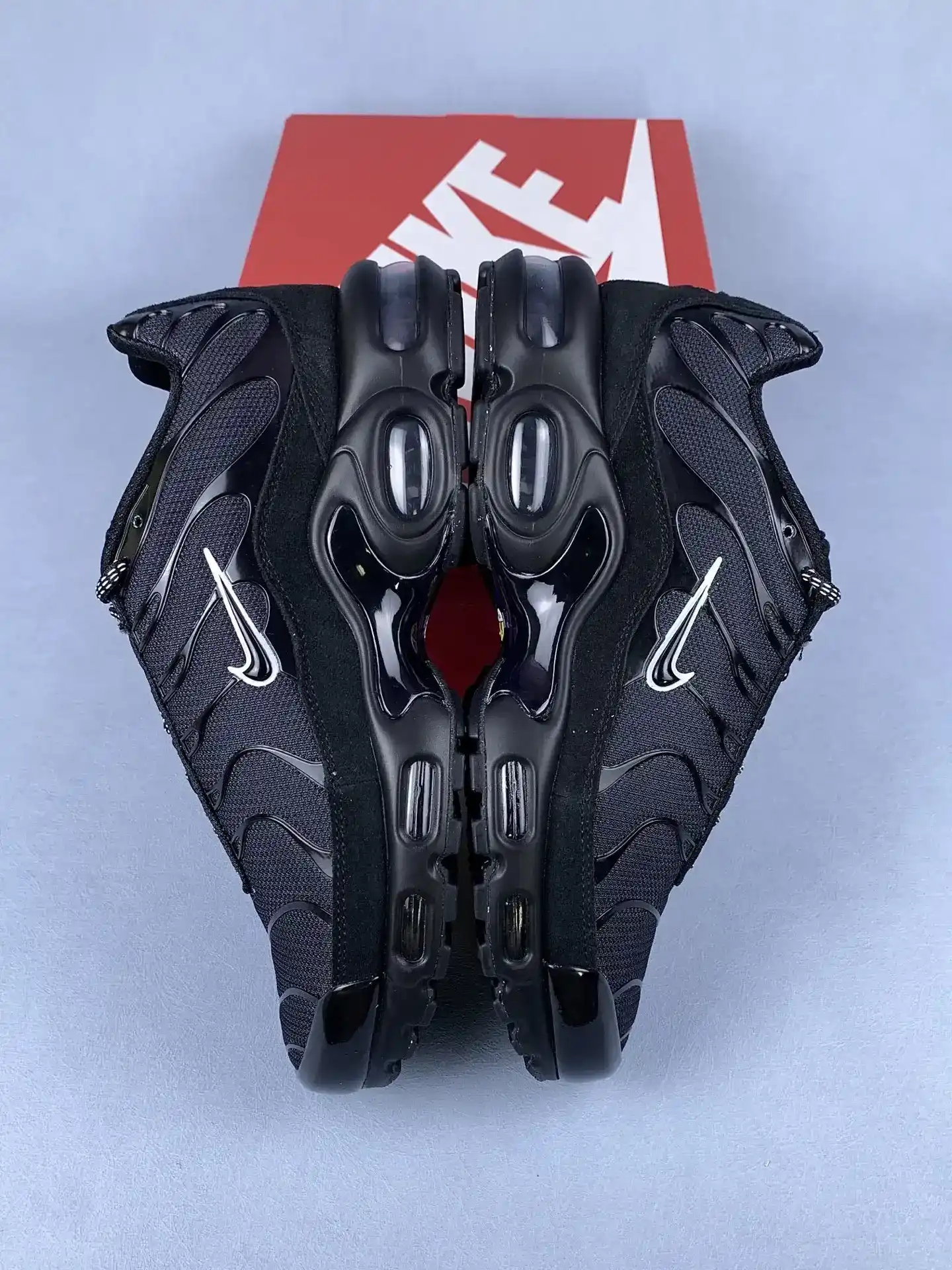 Nike Air Max Plus 'Unity' Shoes product photo from LabelPicks