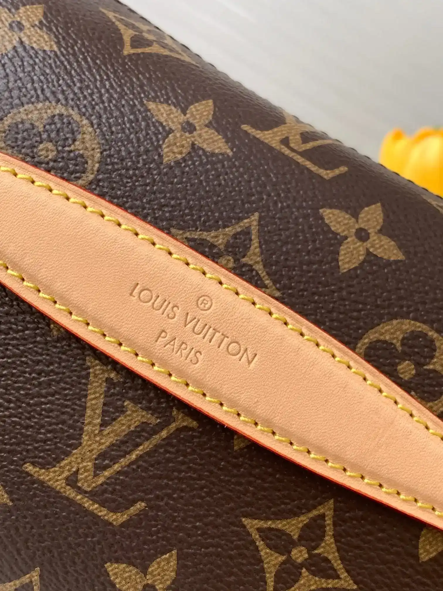 Louis Vuitton Monogram Canvas Belt Bag product photo from LabelPicks