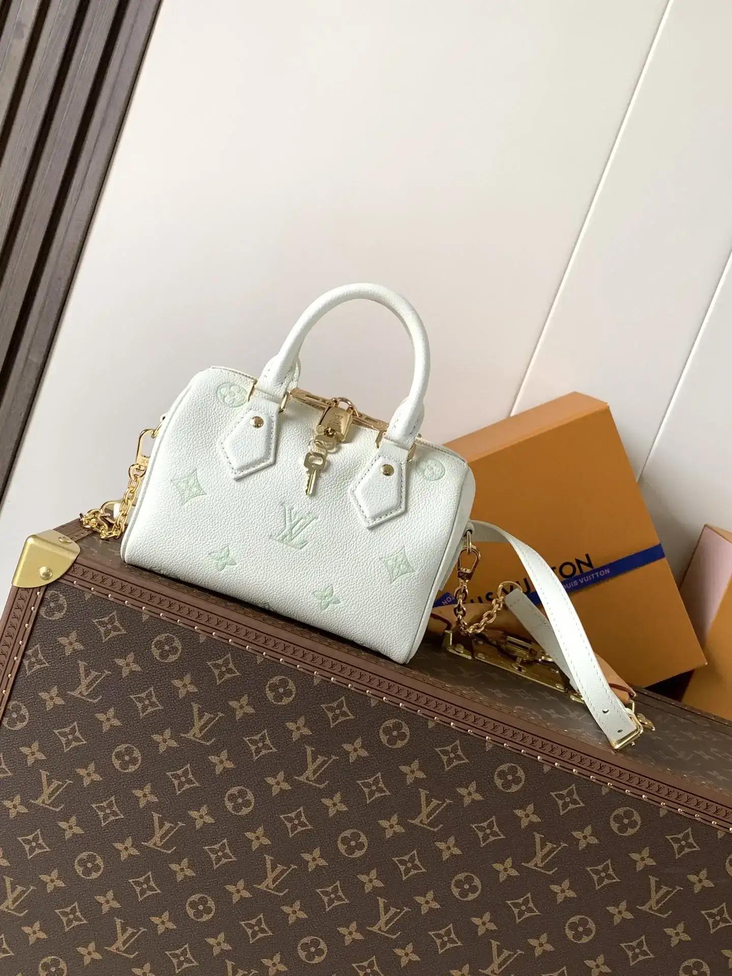 Louis Vuitton Speedy White Calfskin Top Handle Bag product photo from LabelPicks