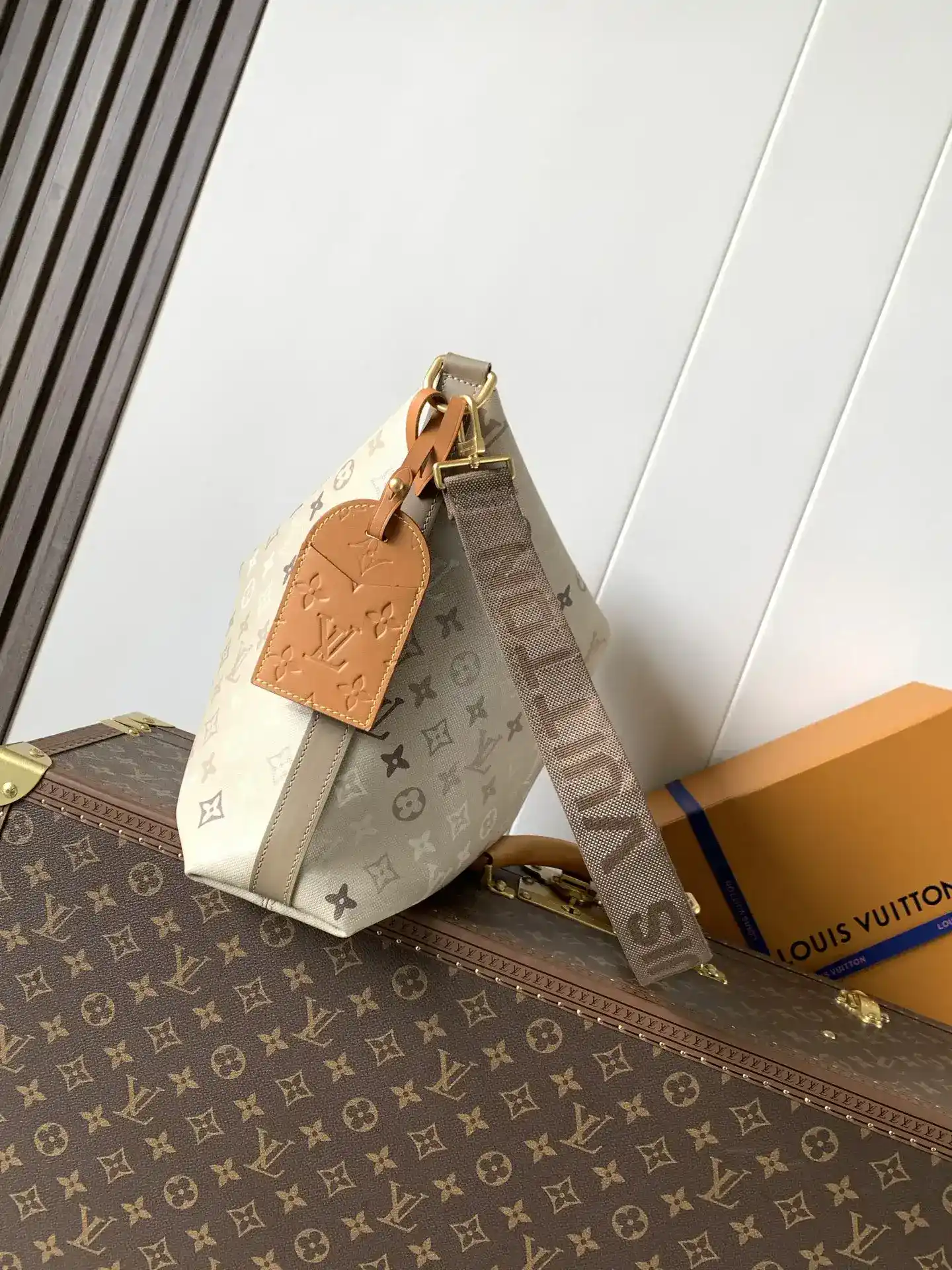 Louis Vuitton Curved Hobo Bag product photo from LabelPicks