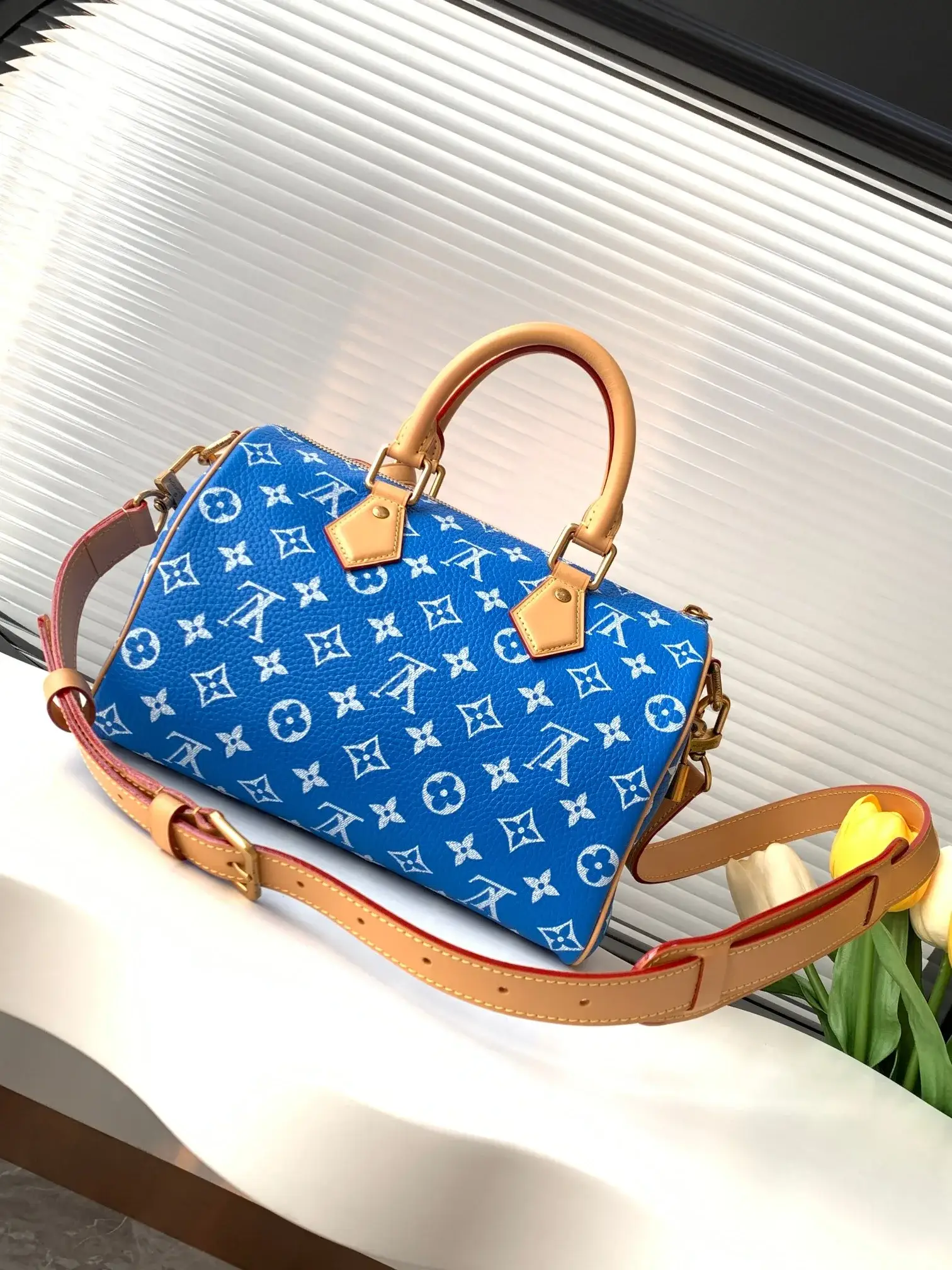 Louis Vuitton Speedy Blue Lambskin Top Handle Bag product photo from LabelPicks