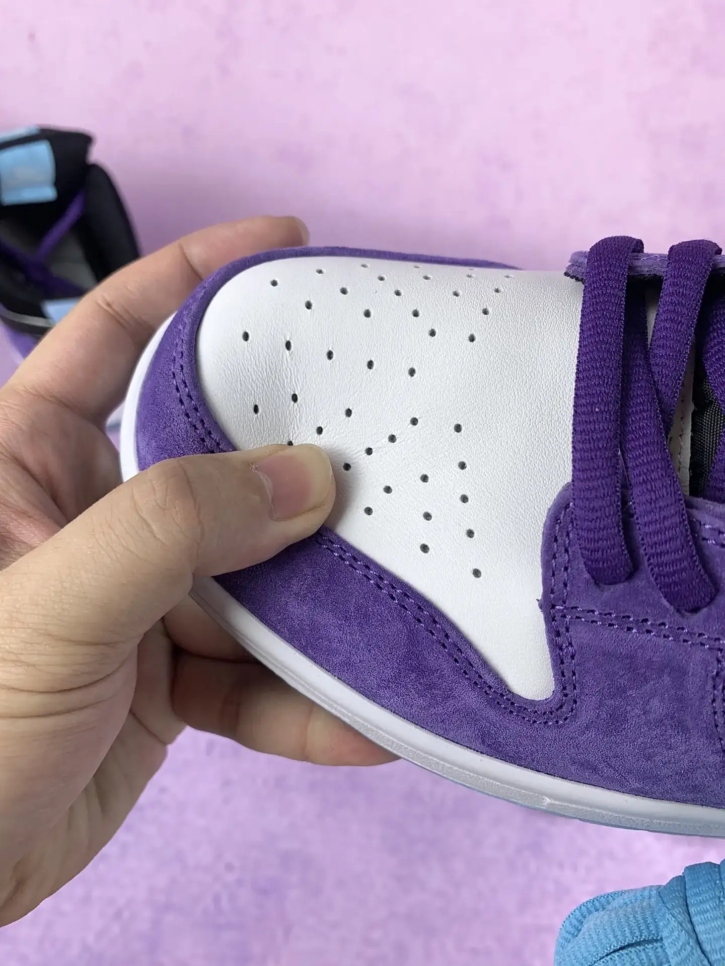 Hayley Wilson x Nike SB Dunk Low Pro Shoes product photo from LabelPicks
