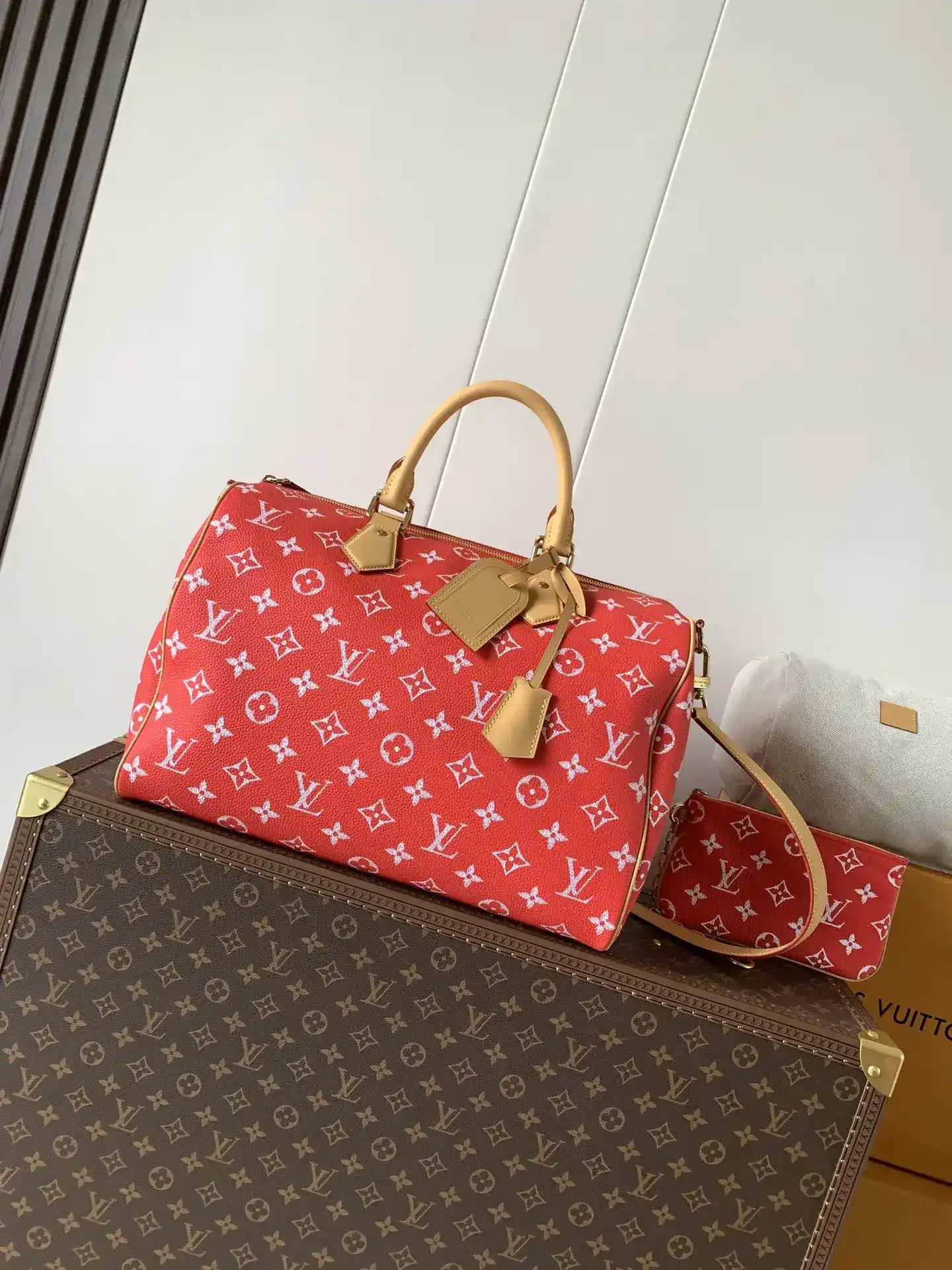 Louis Vuitton Green Speedy Grained Leather Top Handle Bag product photo from LabelPicks