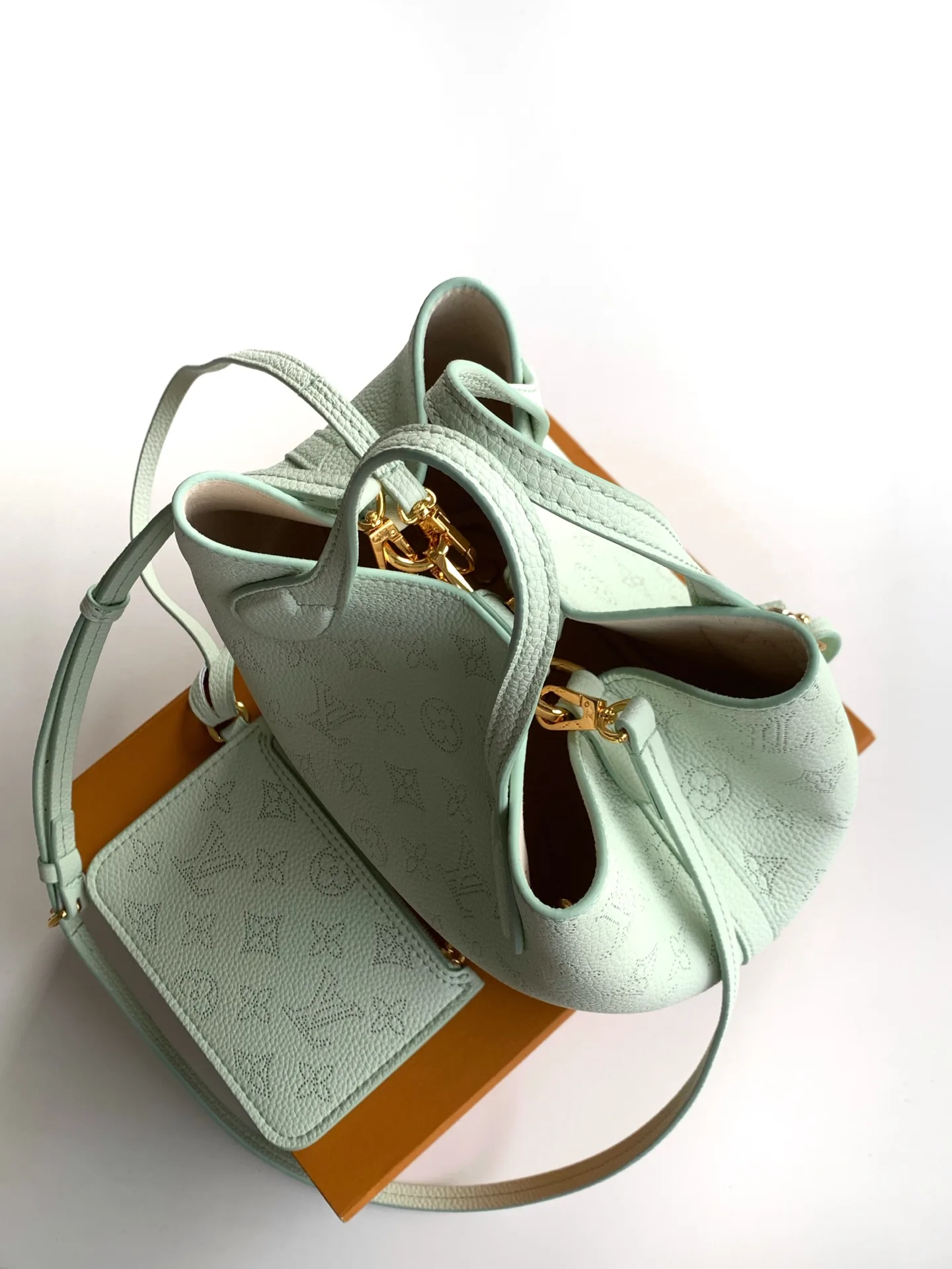 Louis Vuitton Black Calfskin Tote Bag product photo from LabelPicks