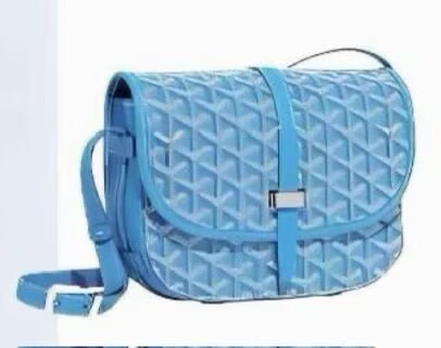 Goyard Bag