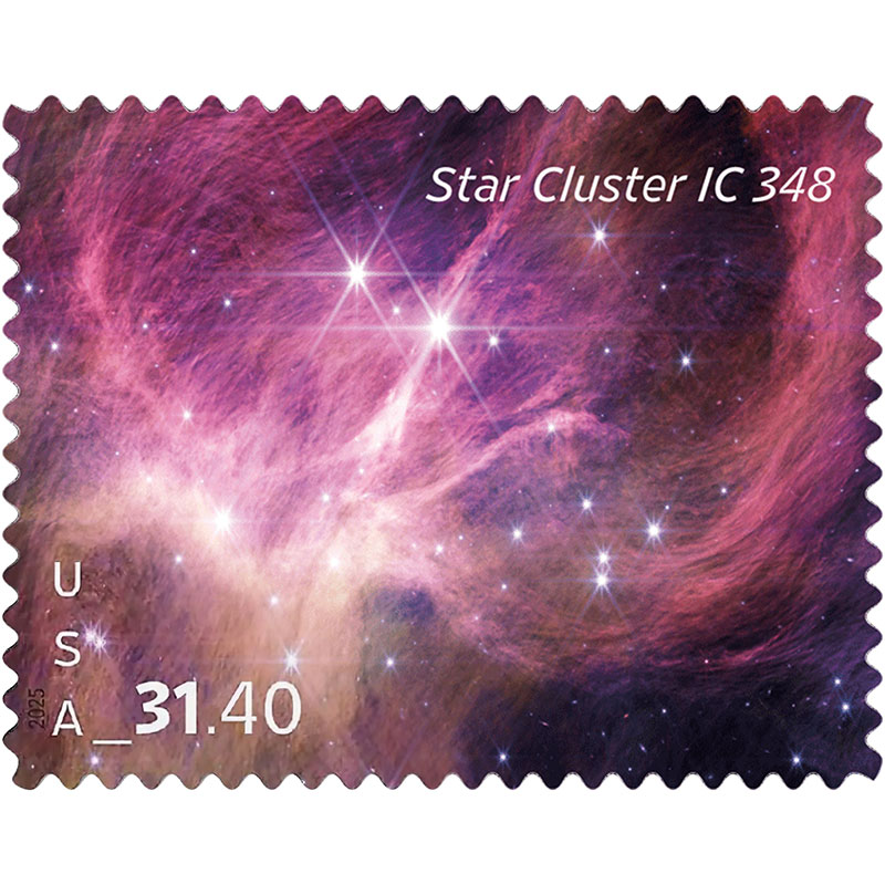 Star Cluster