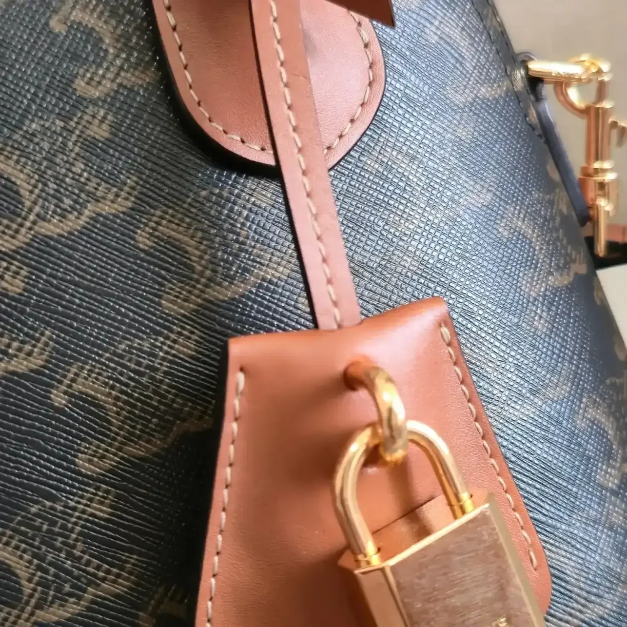 Celine Triomphe Canvas Crossbody Bag product photo from LabelPicks