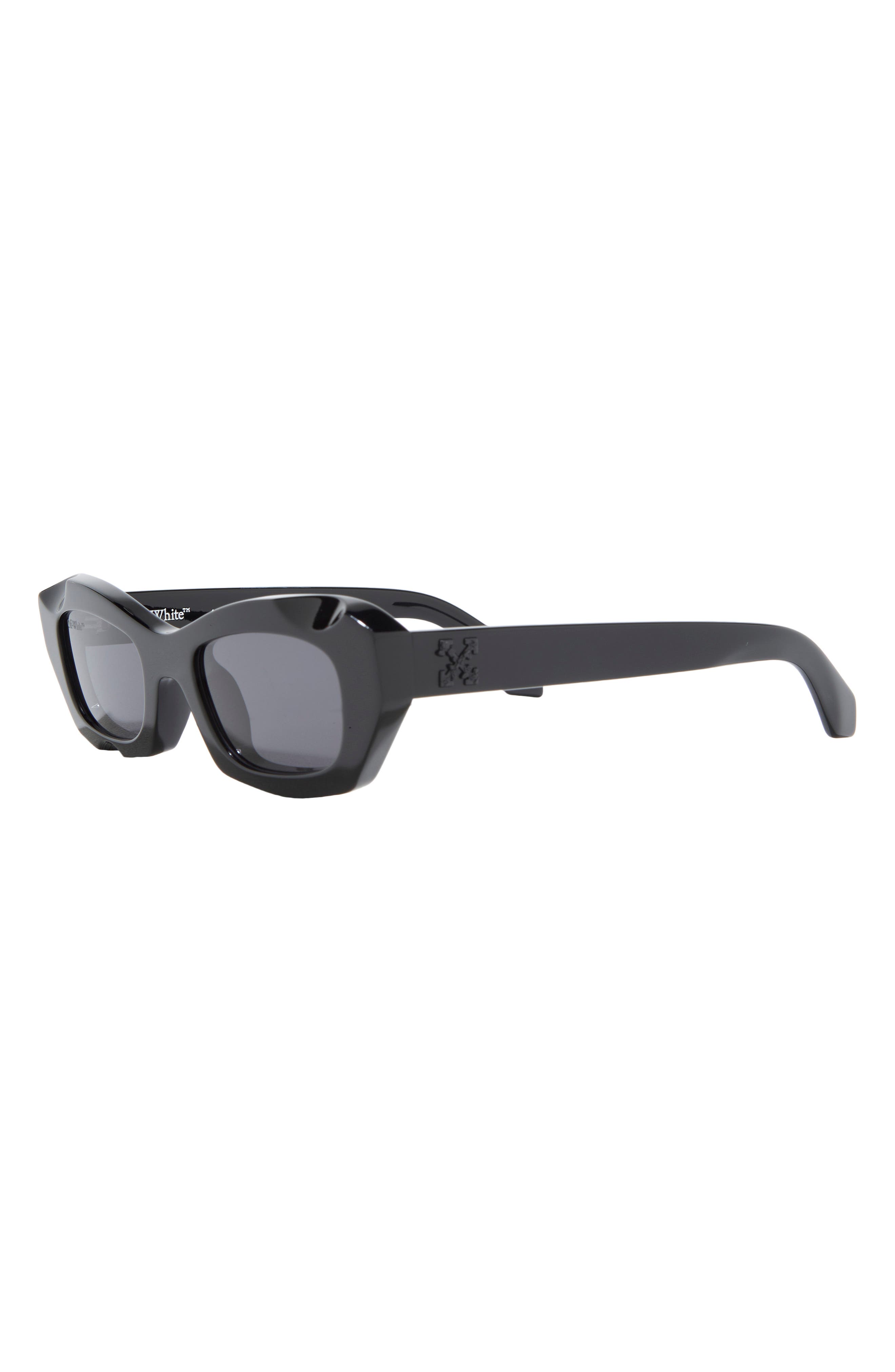 Off-White Venezia 49mm Cat Eye Sunglasses