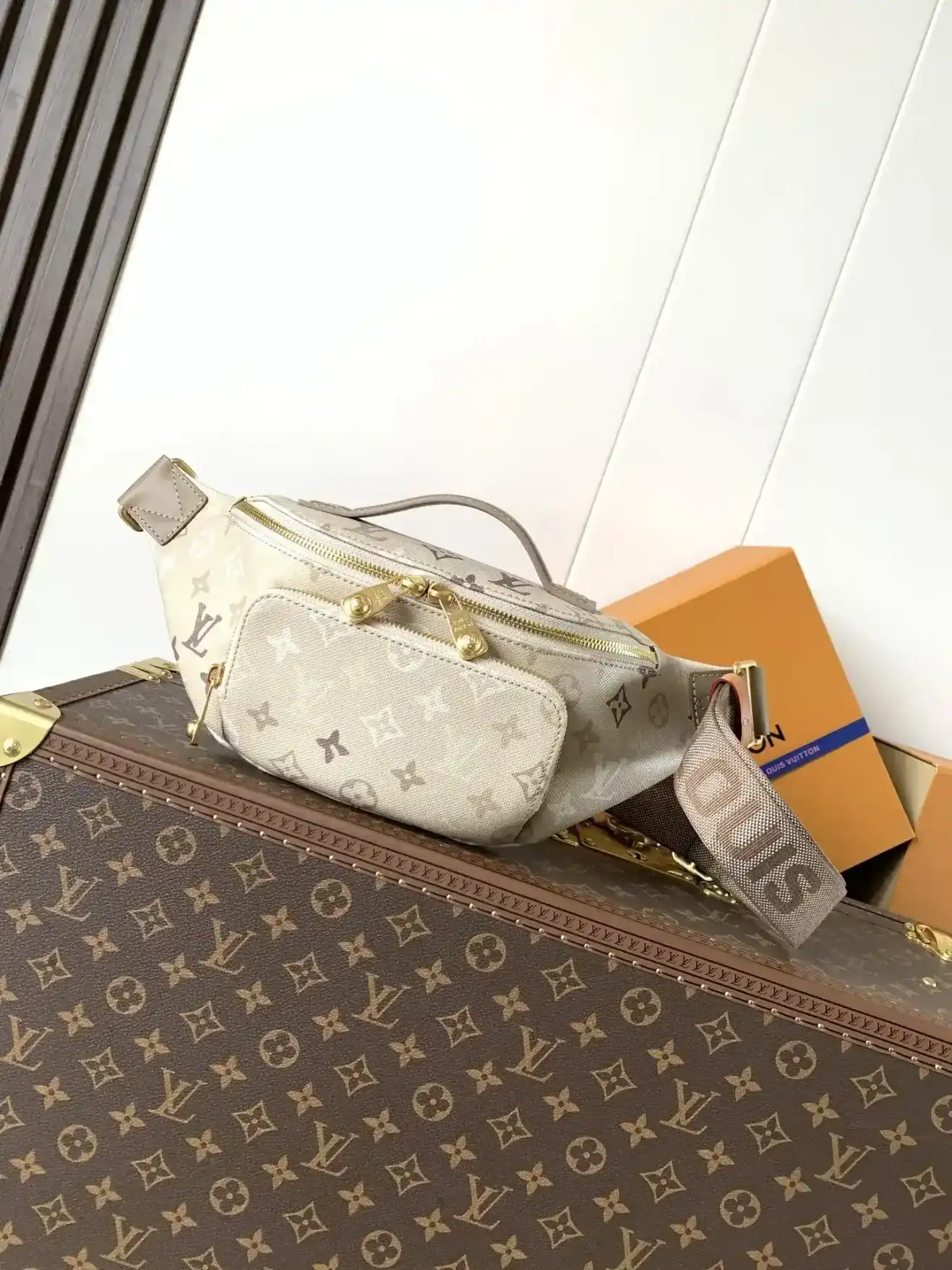 Louis Vuitton Monogram Canvas Belt Bag product photo from LabelPicks