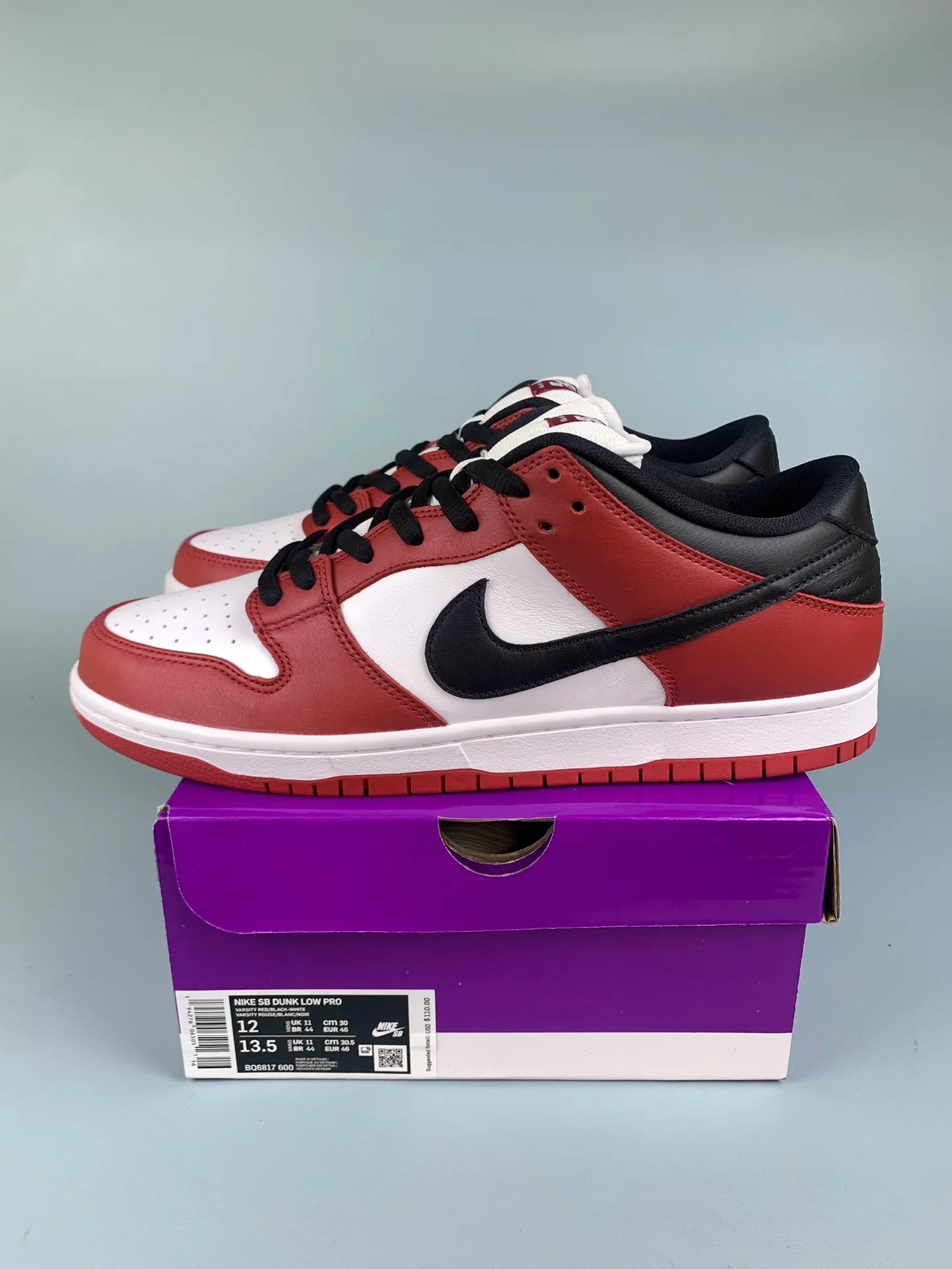 Nike SB Dunk Low Pro Shoes product photo from LabelPicks
