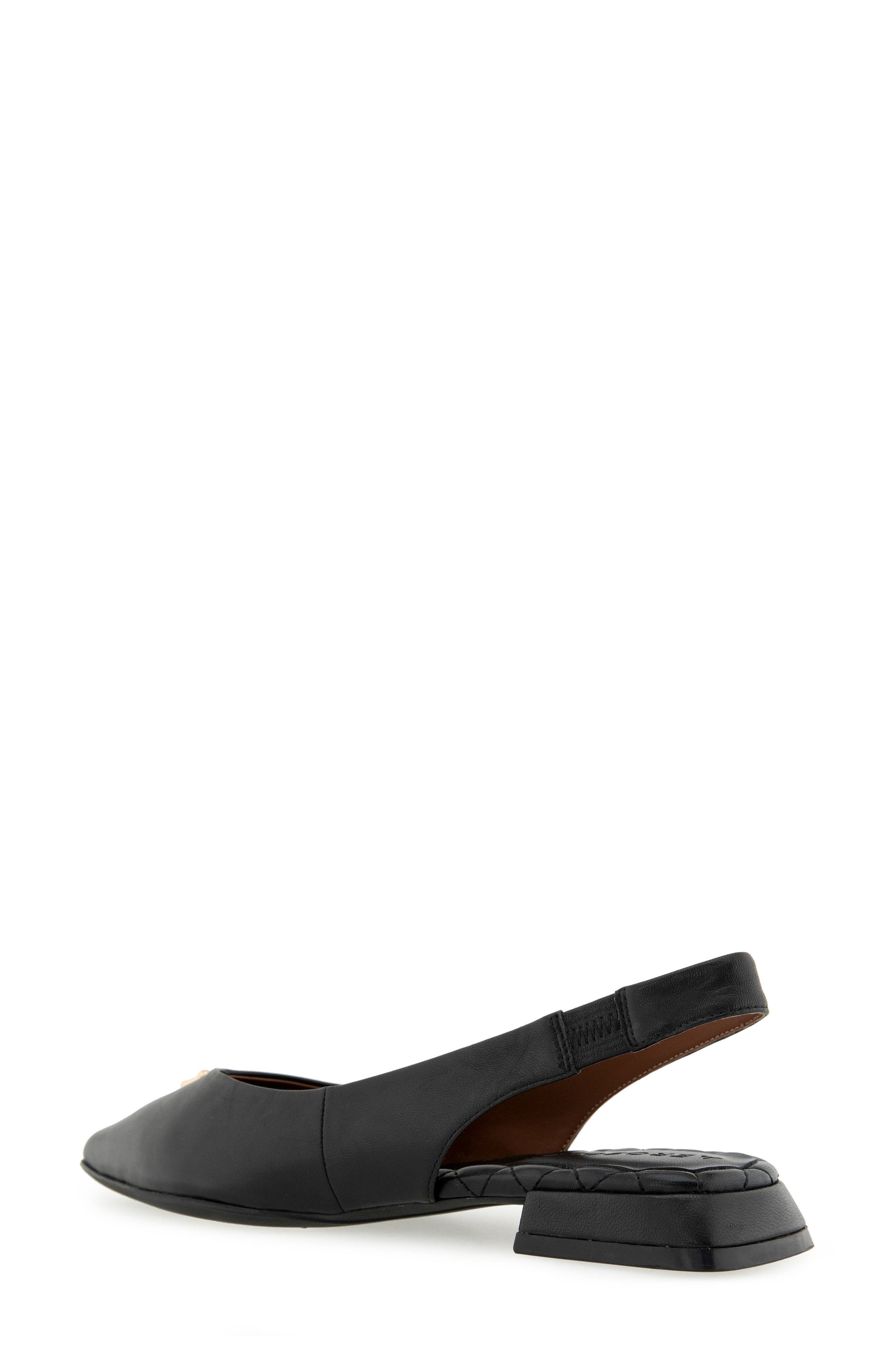 Aerosoles Nayana Pointed Toe Slingback Flat