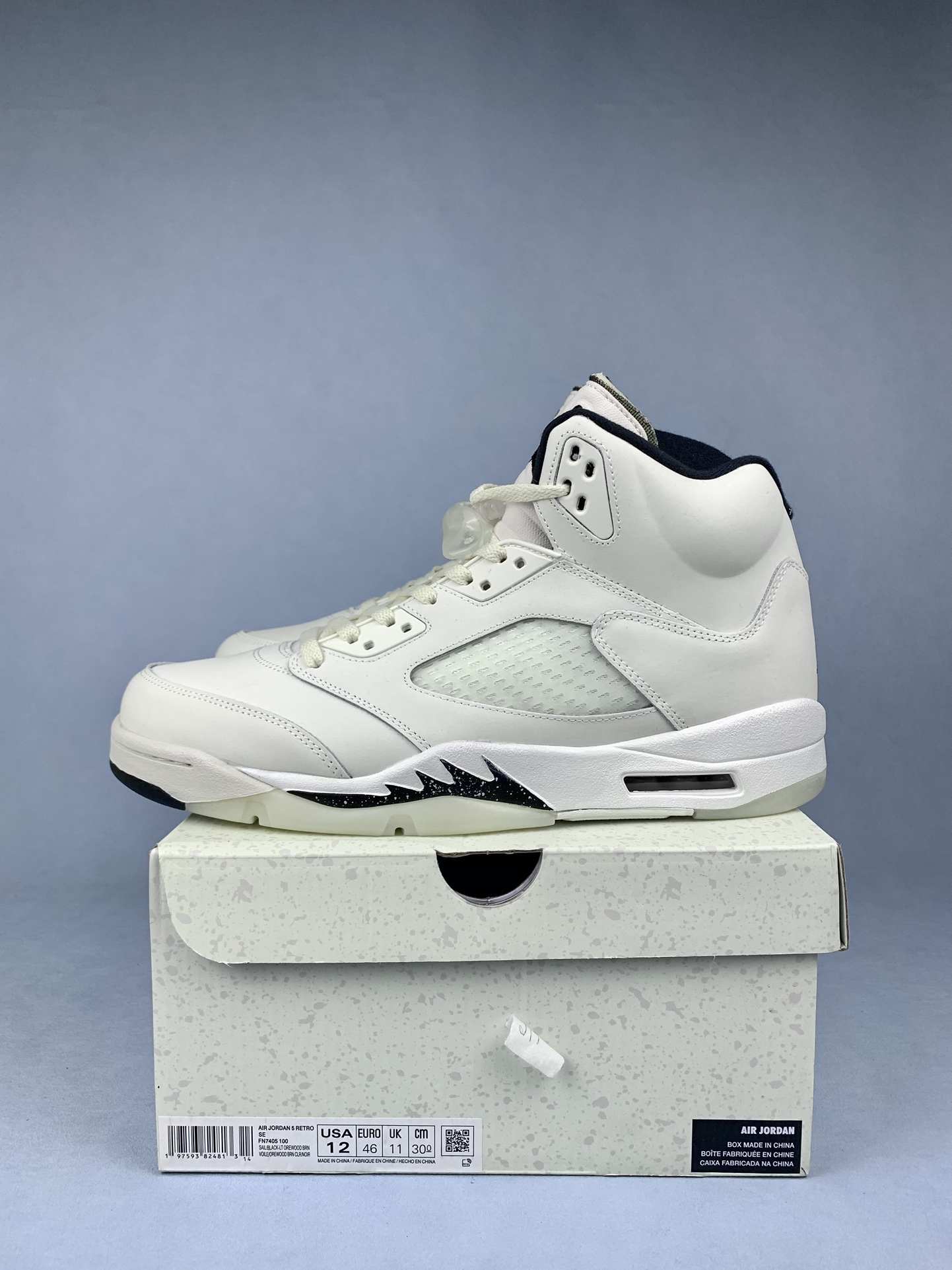 Air Jordan 5 Retro SE 