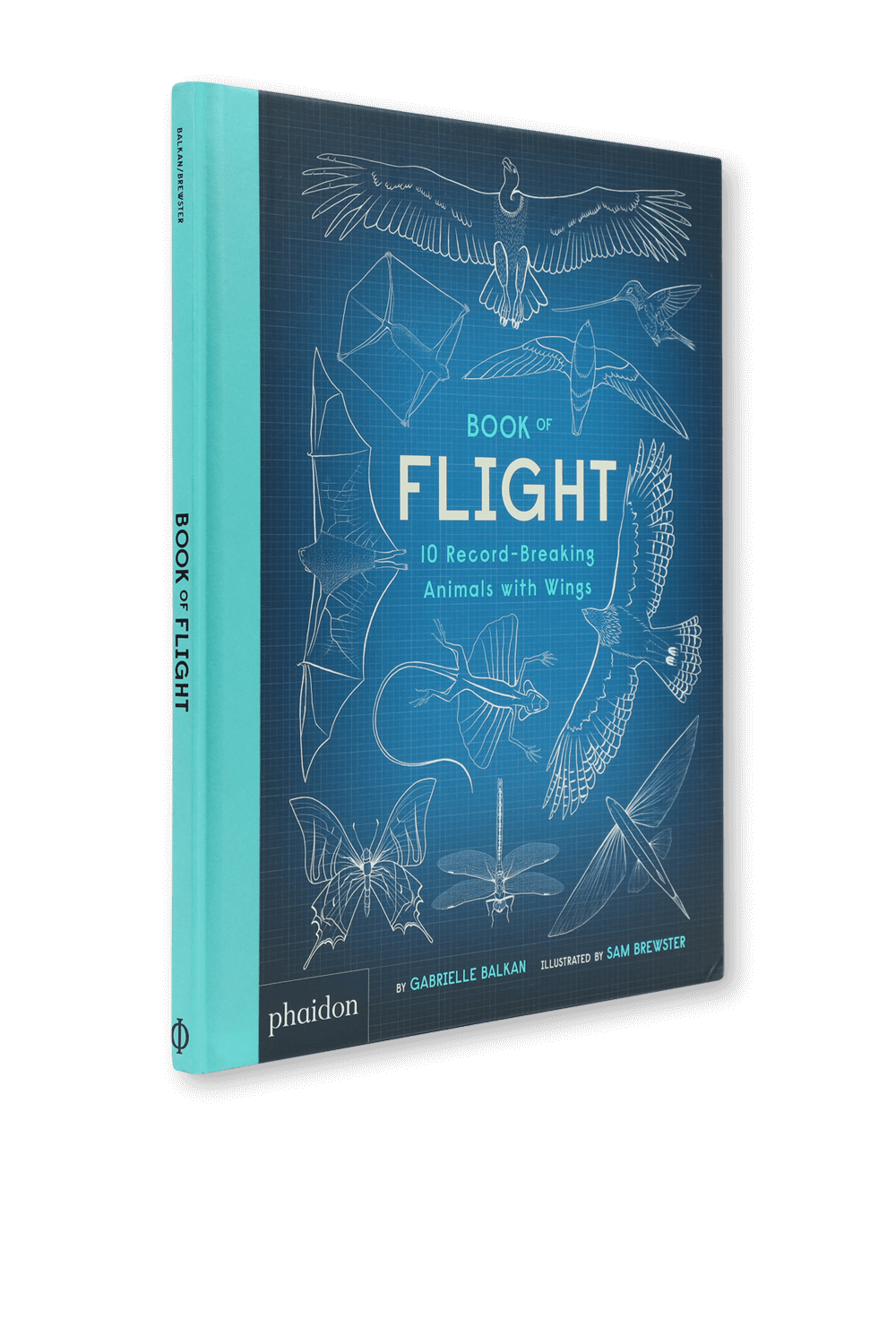 PHAIDON Book of Flight - גילאי 5-8