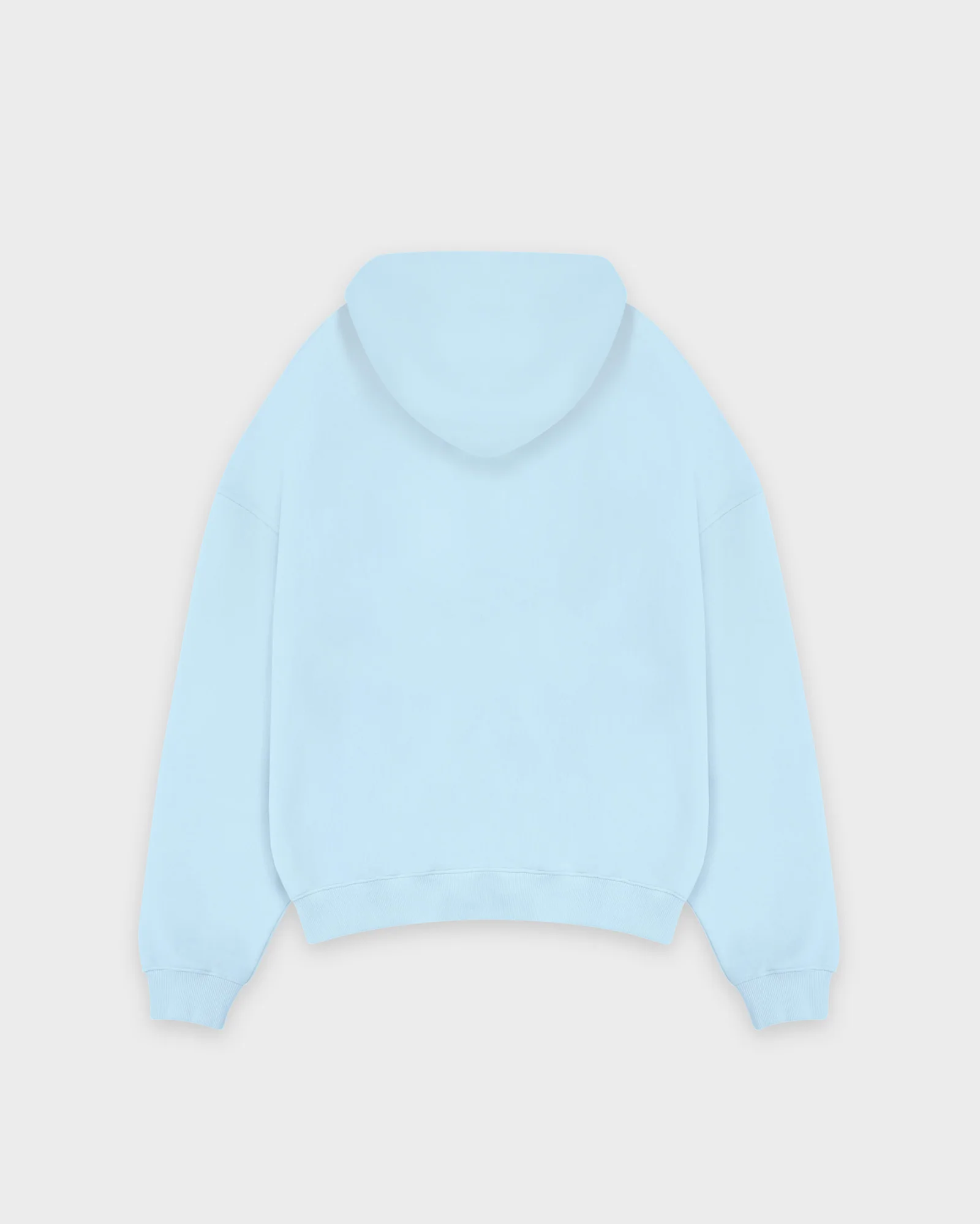 Heavy Babyblue Basic Zip Hoodie