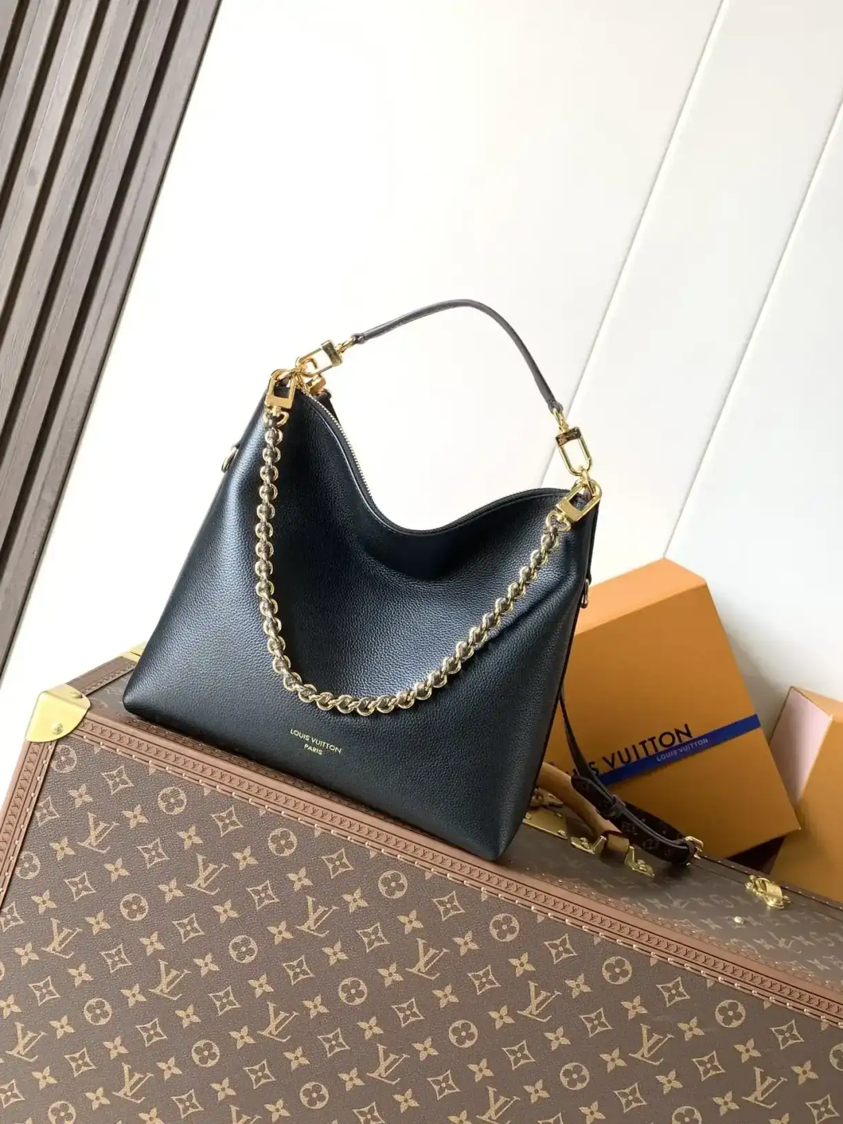 Louis Vuitton Monogram Canvas Hobo Bag product photo from LabelPicks