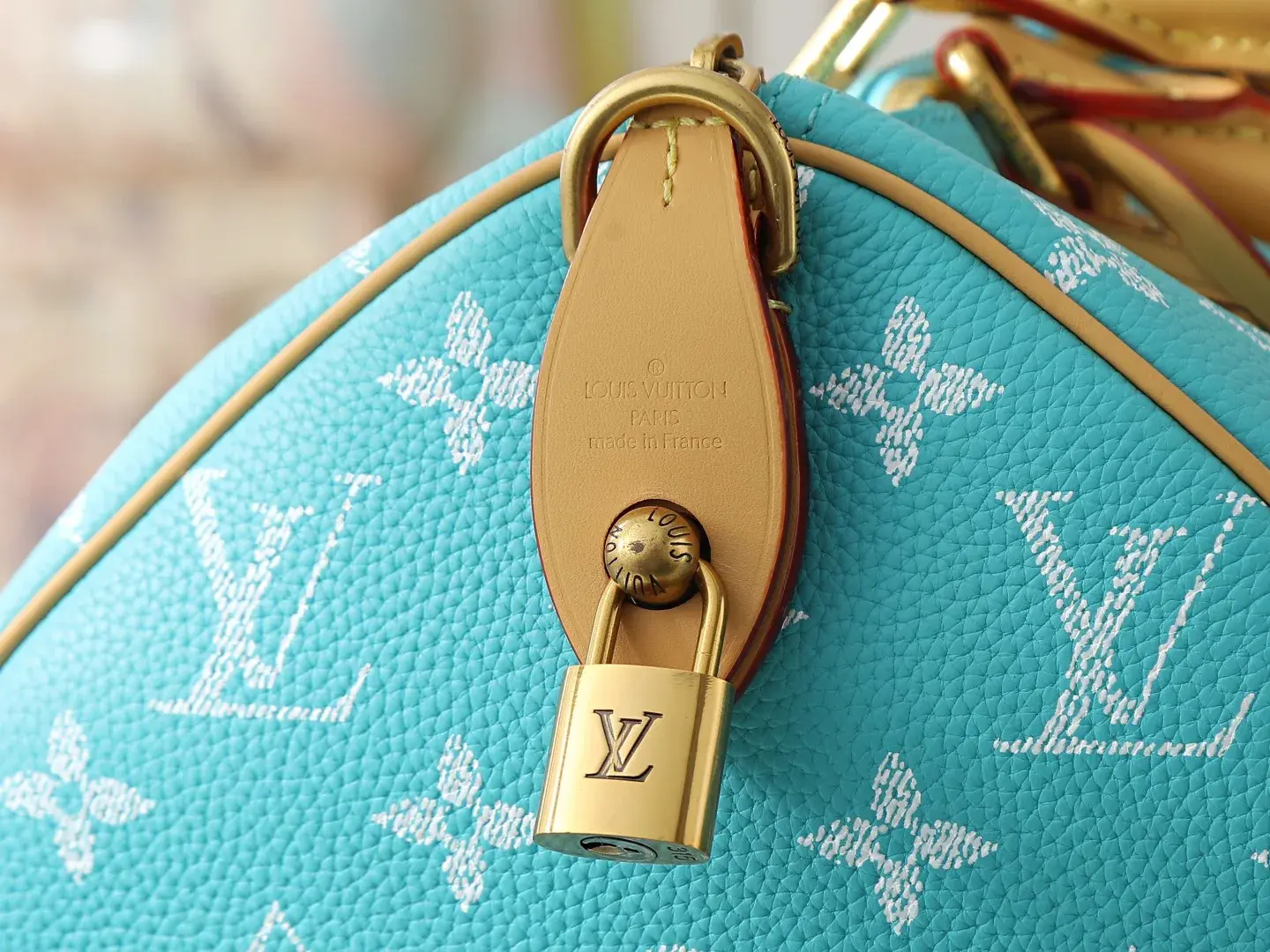 Louis Vuitton Brown Speedy Monogram Canvas Top Handle Bag product photo from LabelPicks