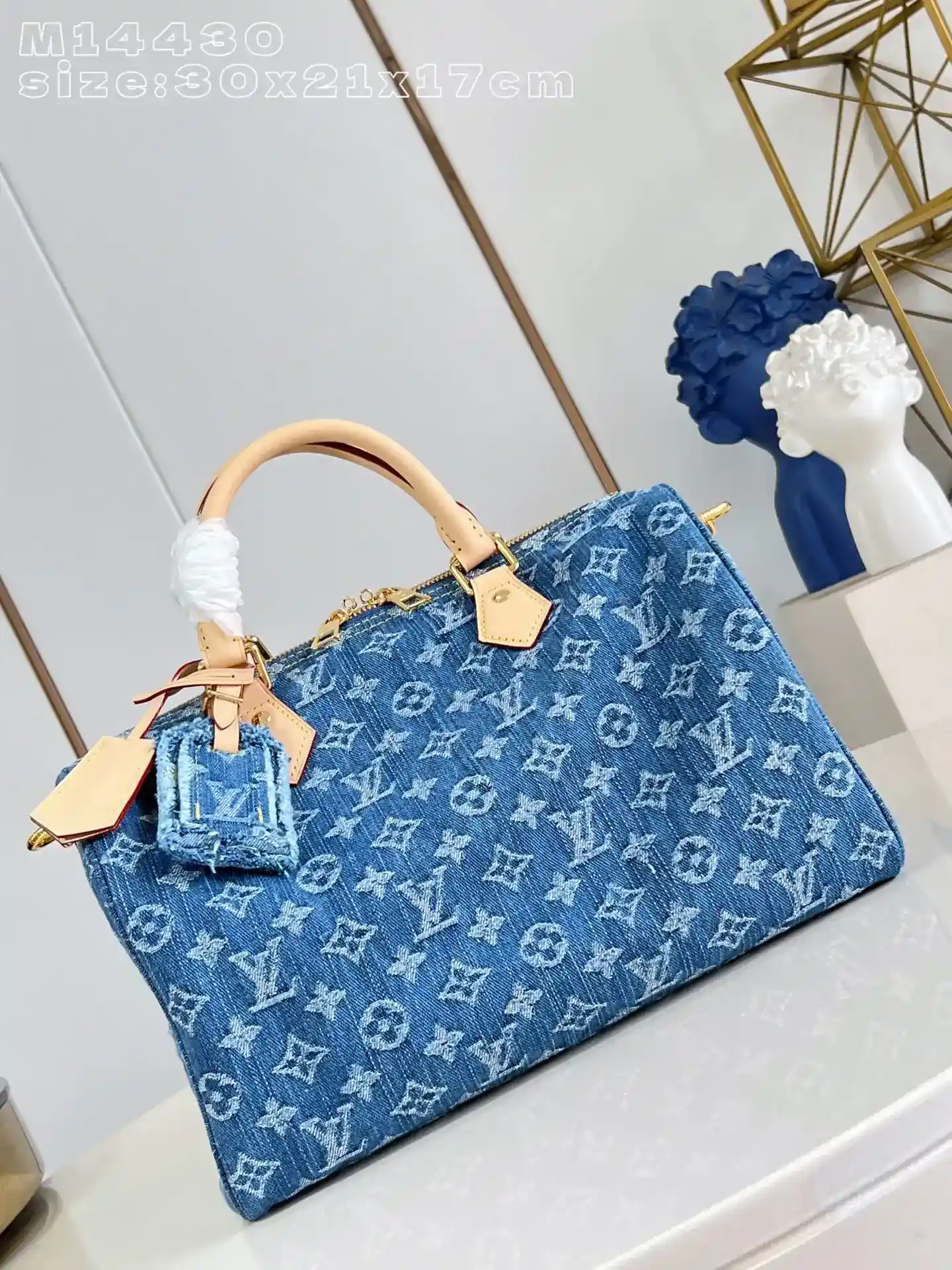 Louis Vuitton Speedy Top Handle Bag product photo from LabelPicks