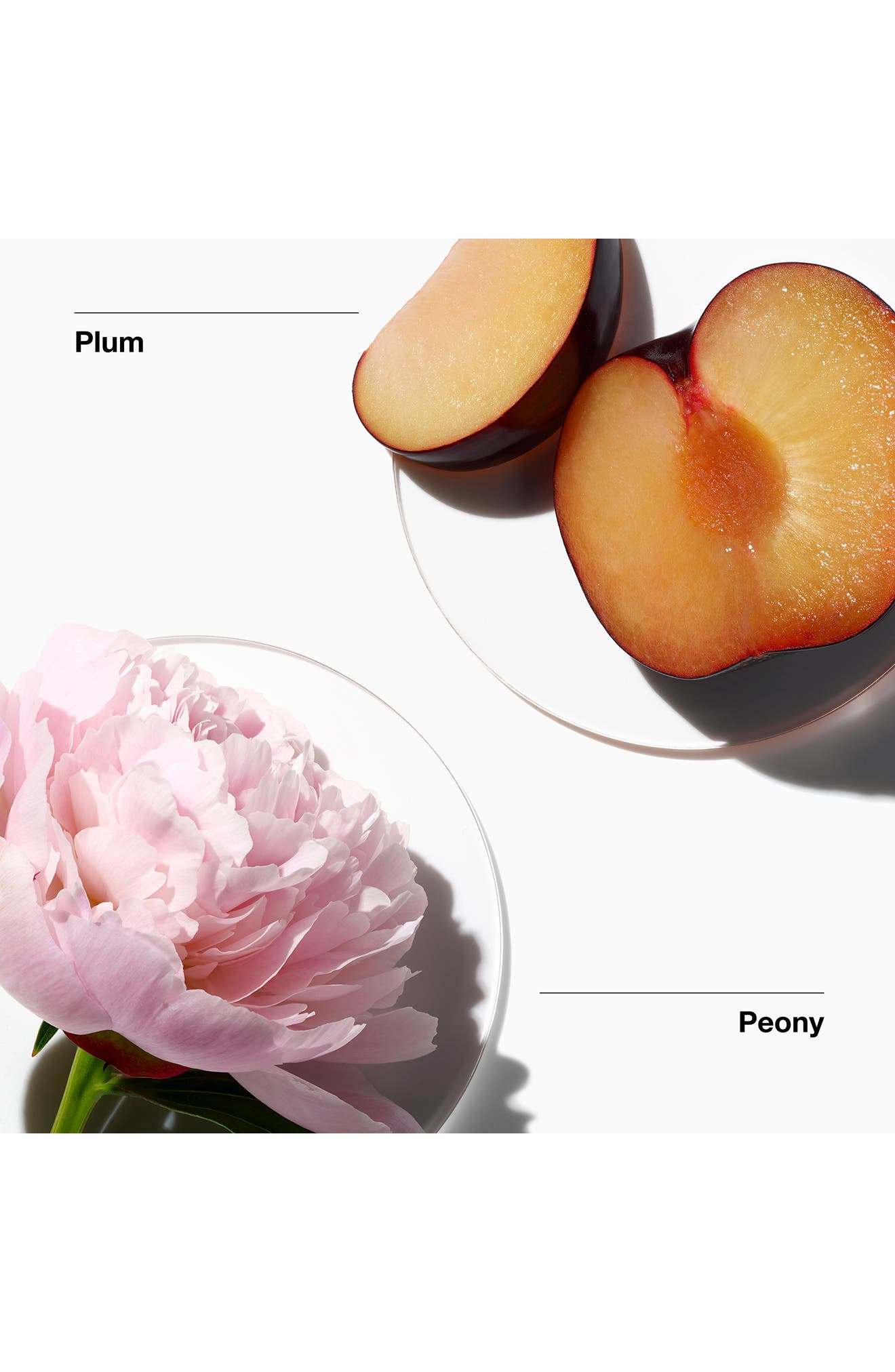 Clinique My Happy Peony Picnic Fragrance
