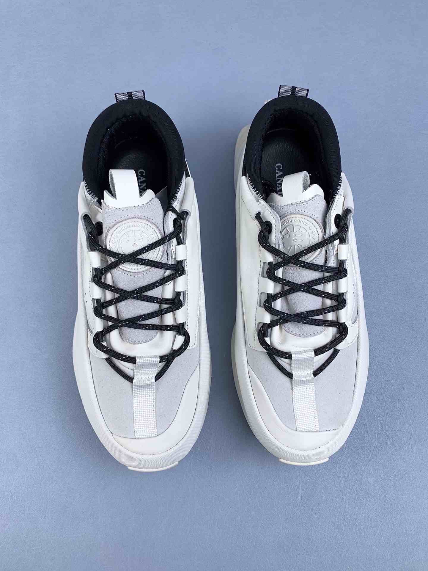 Canada Goose Glacier Trail Sneaker