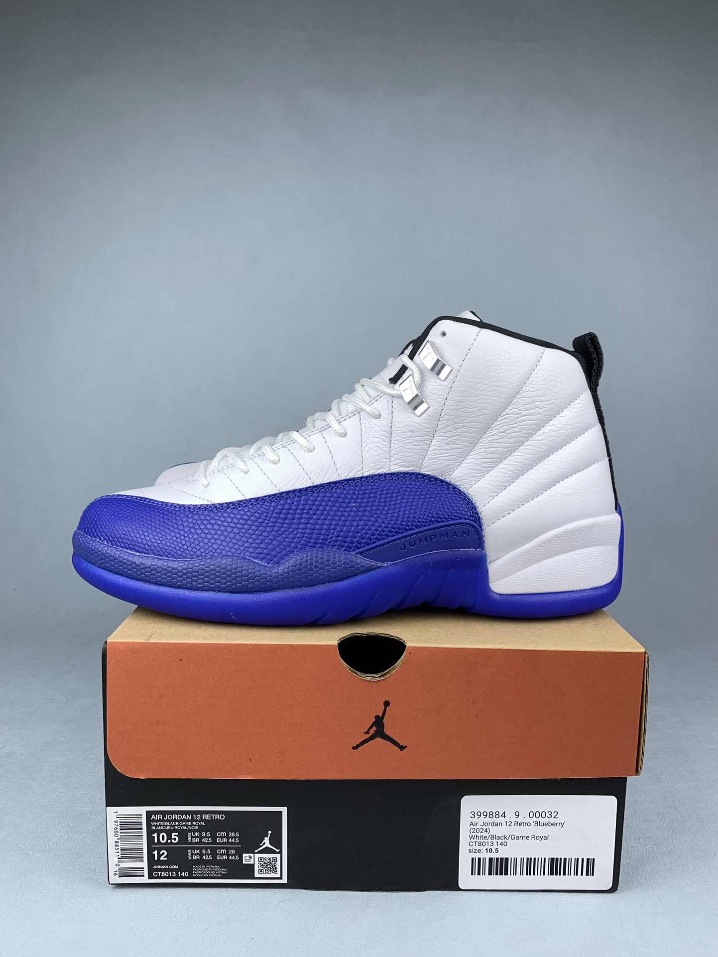 Air Jordan 12 Retro 