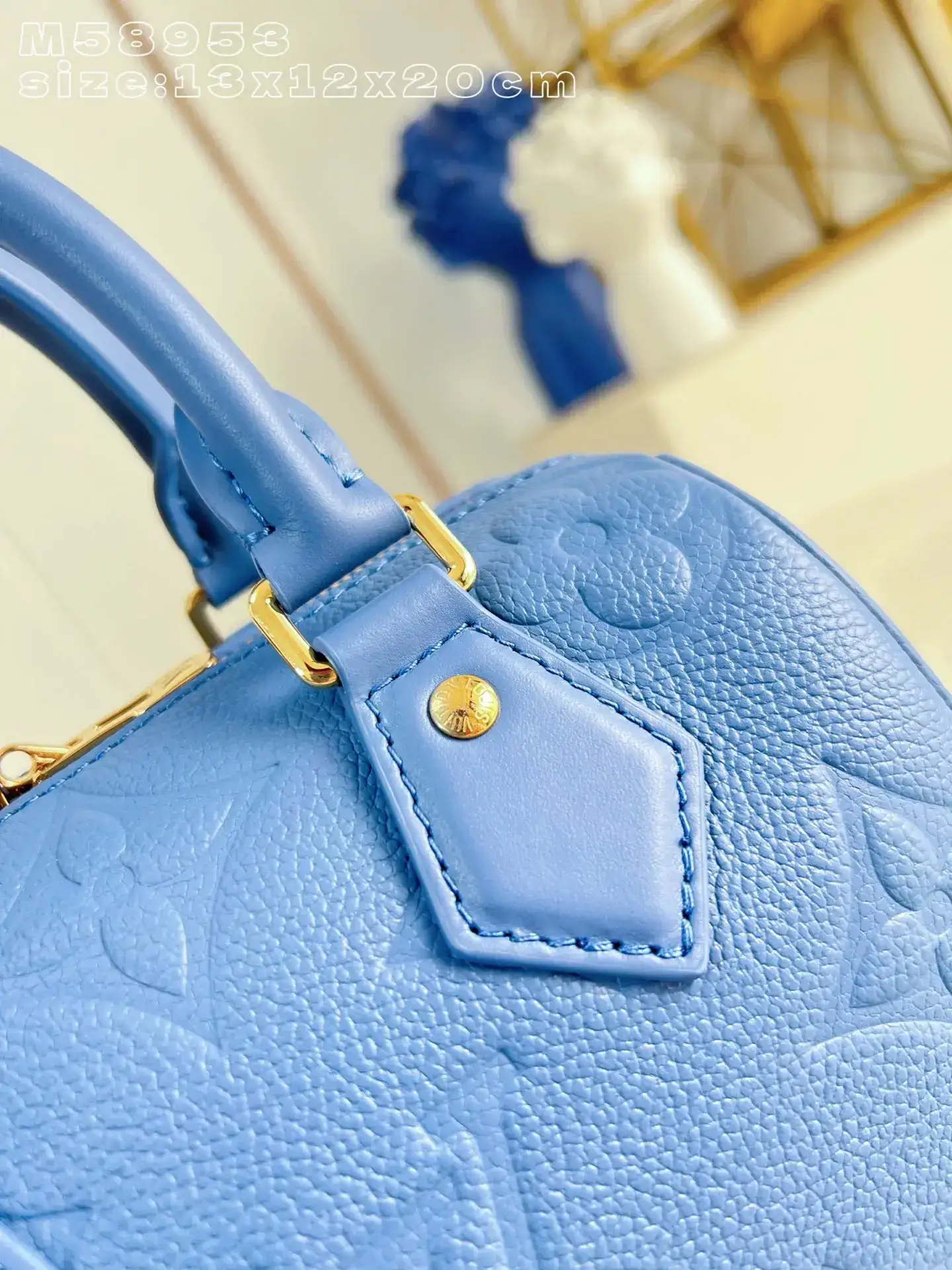 Louis Vuitton Speedy Grained Leather Top Handle Bag product photo from LabelPicks