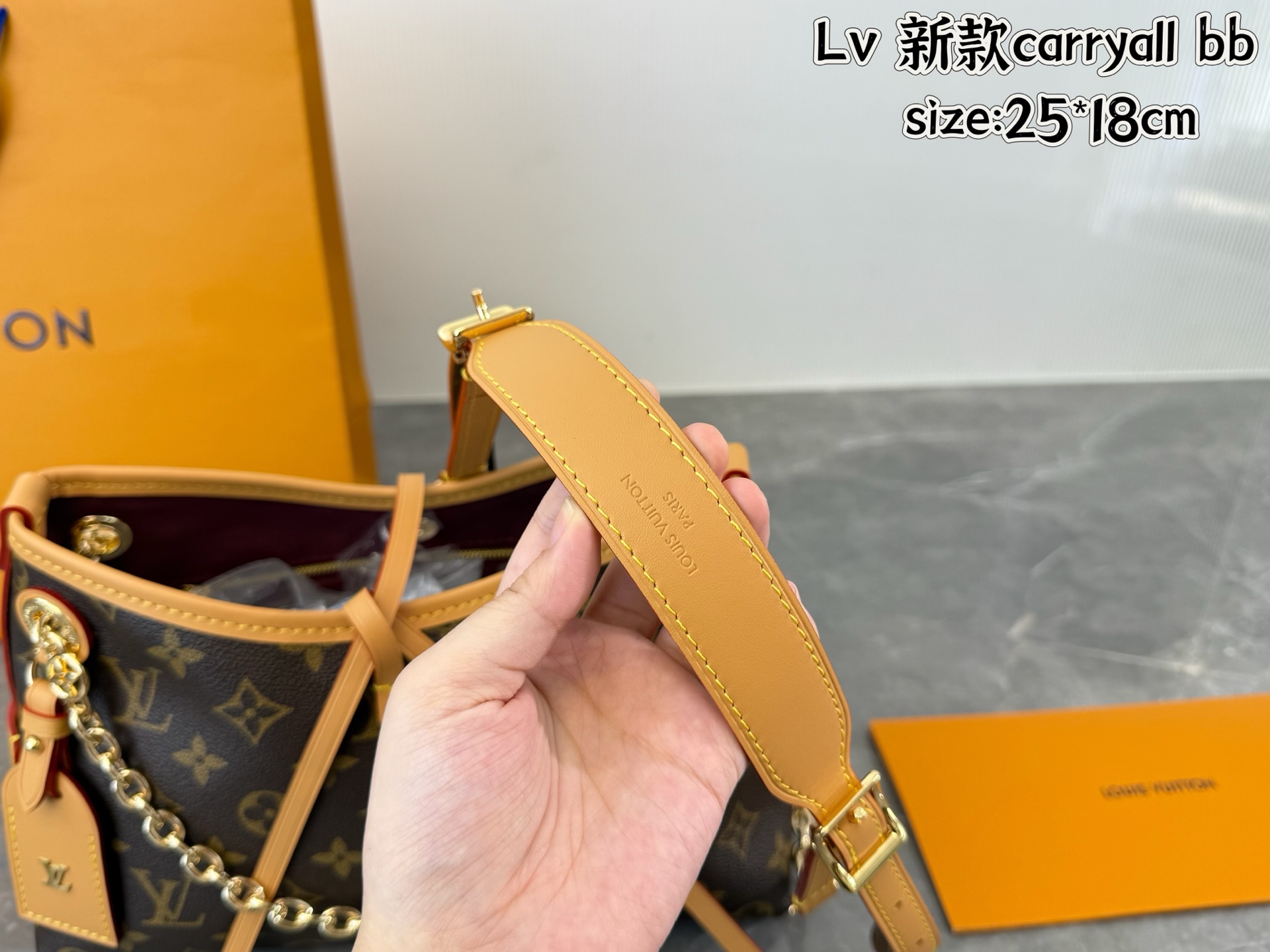 Lv carryall bag