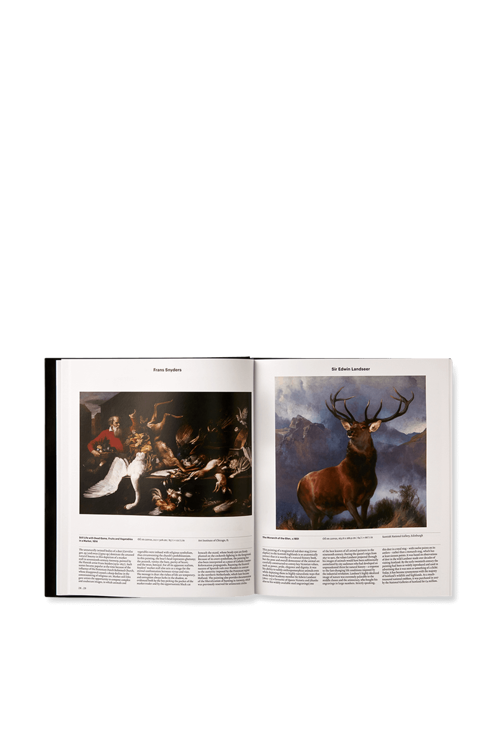 PHAIDON Animal Exploring the Zoological World