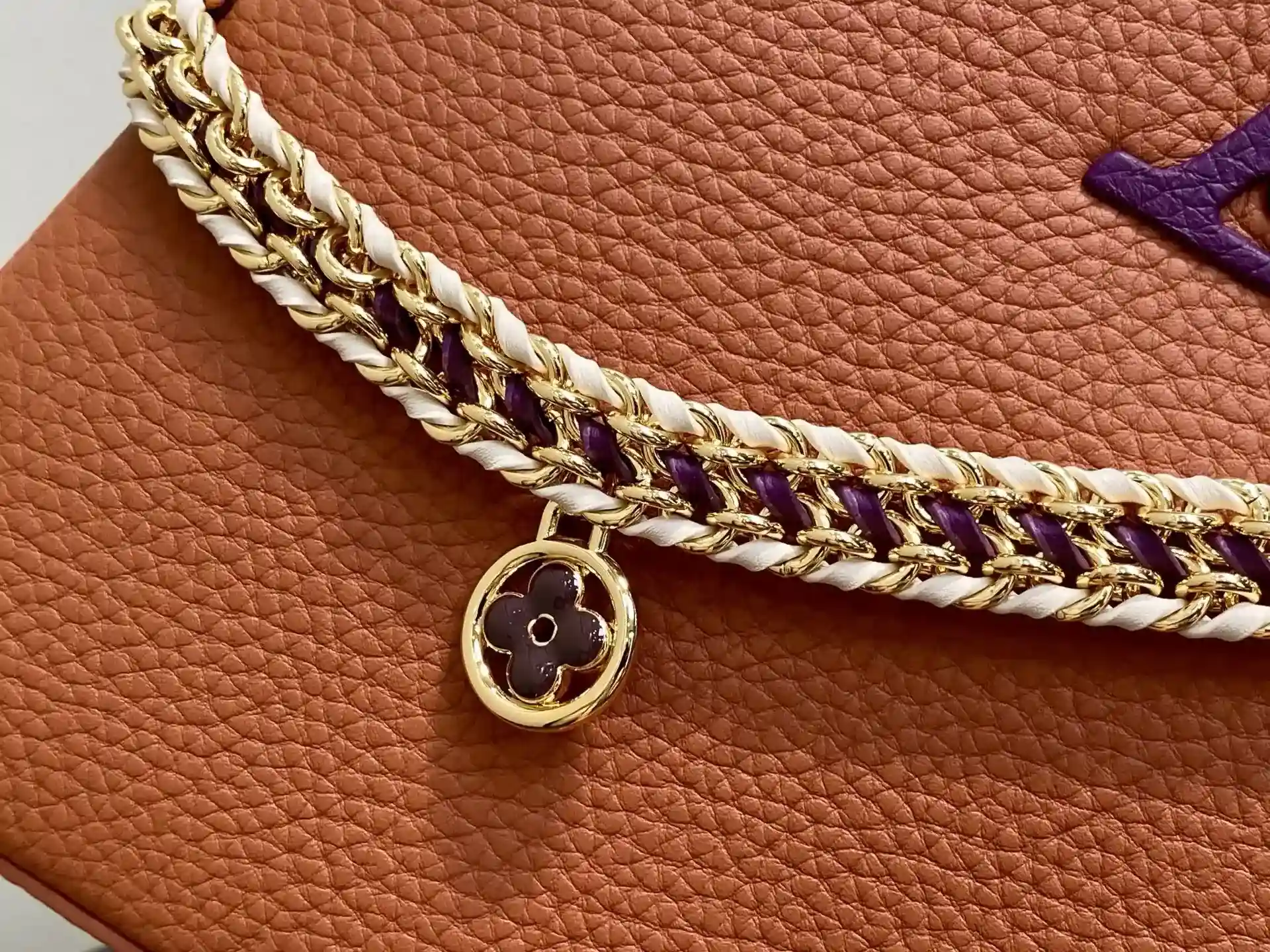 Louis Vuitton Brown Capucines Top Handle Bag product photo from LabelPicks